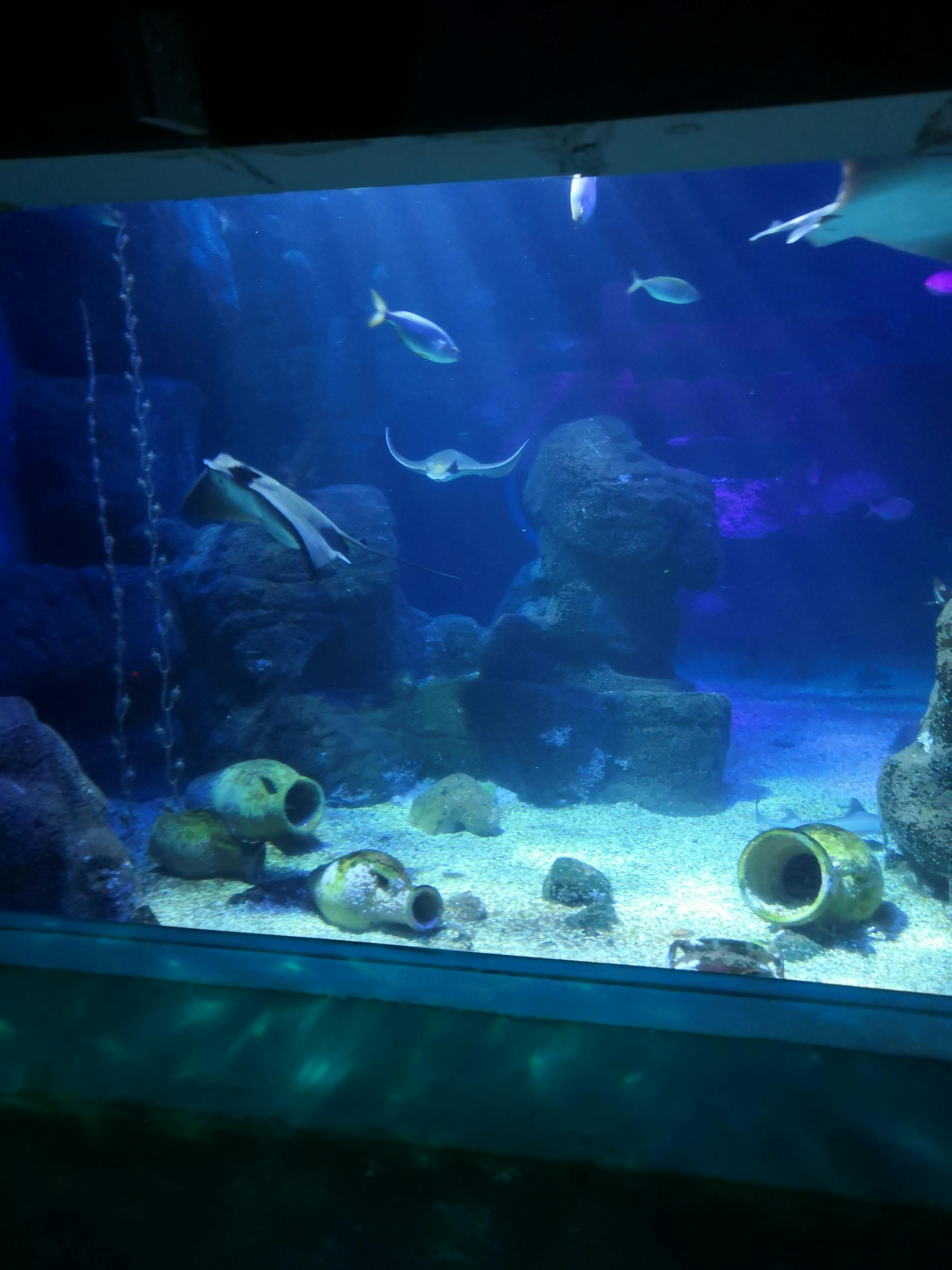 SEA LIFE BerlinTickets Berlin