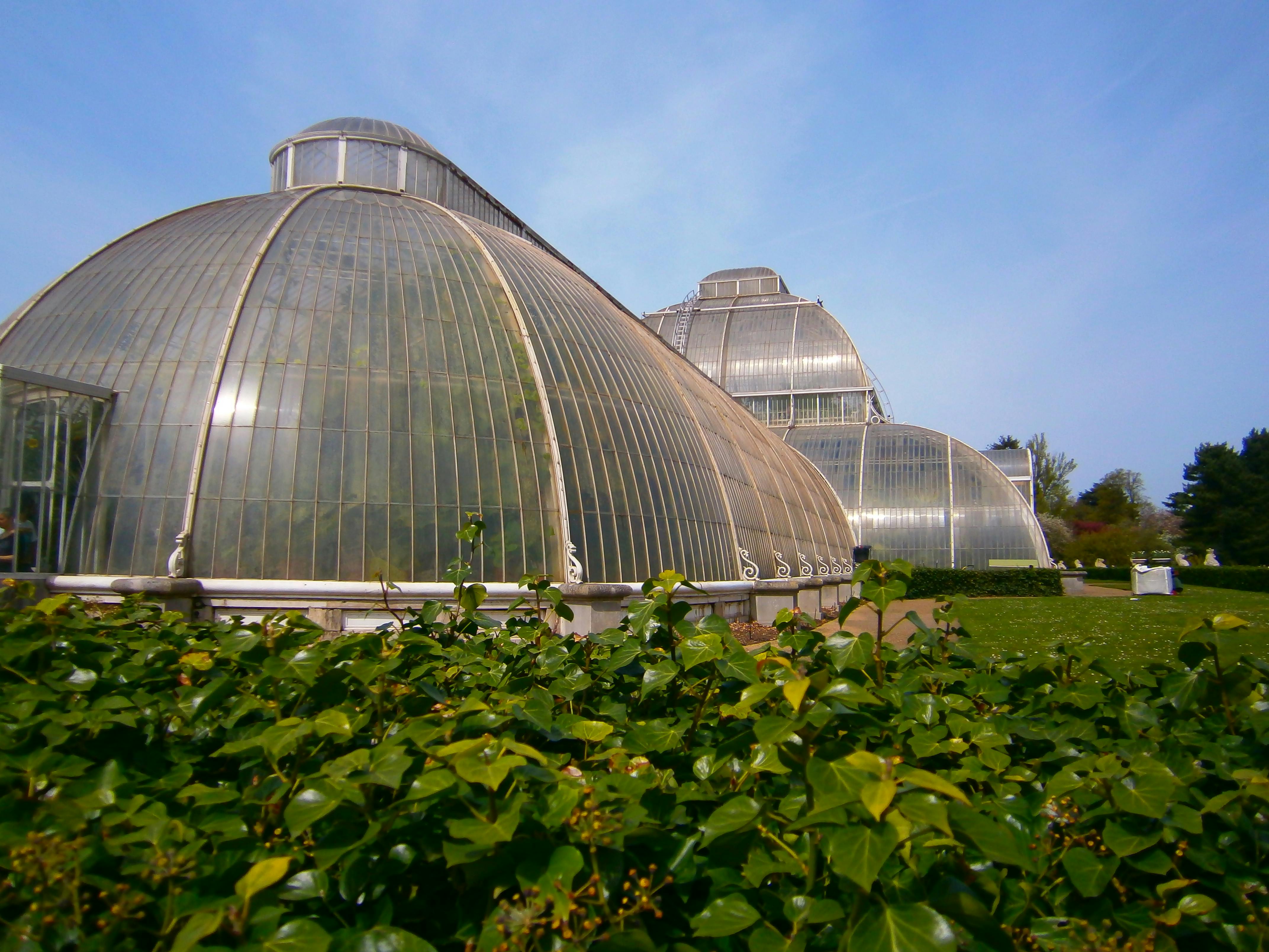 Kew Gardens Tickets London