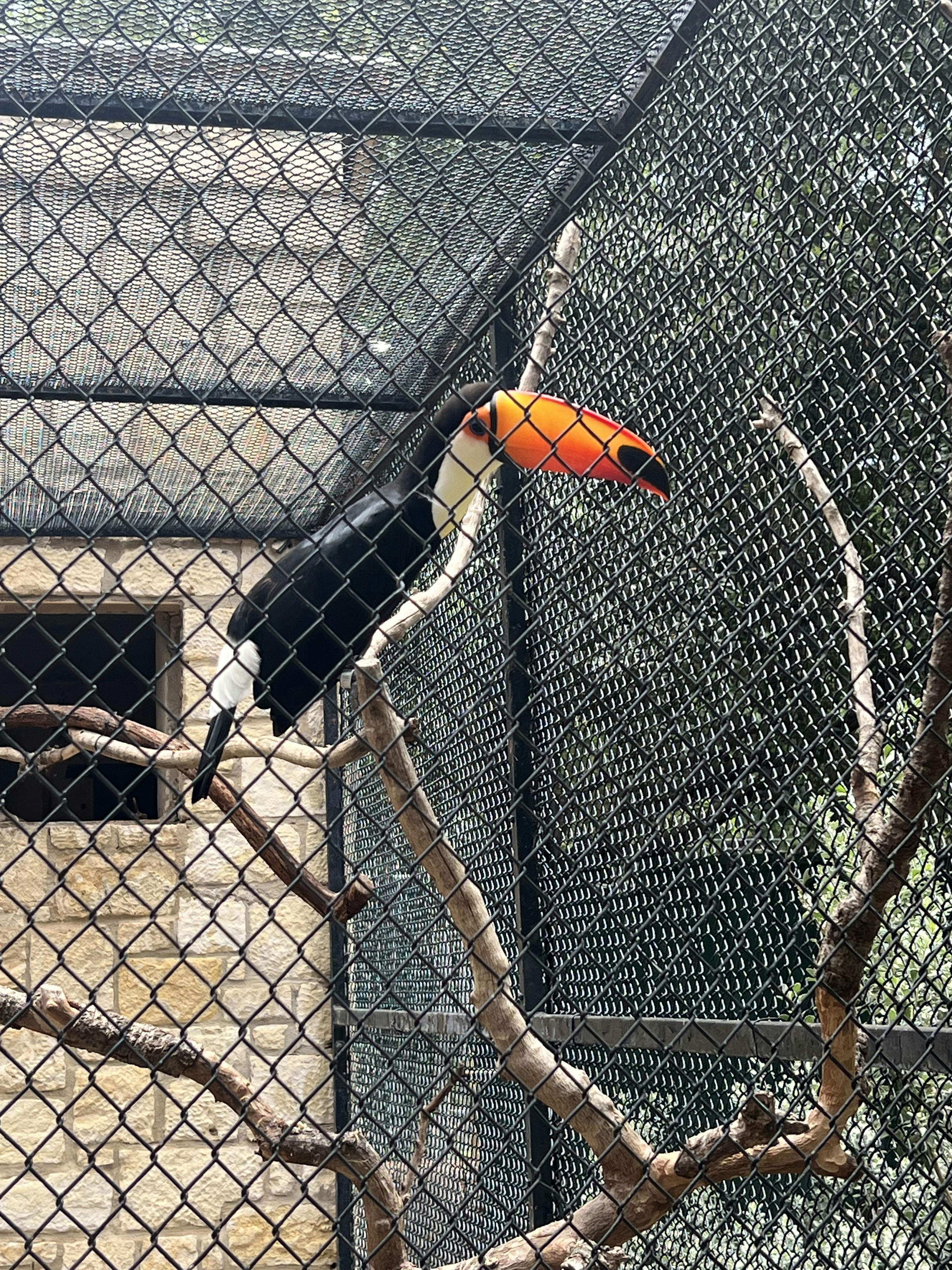 San Antonio Zoo® Tickets San Antonio