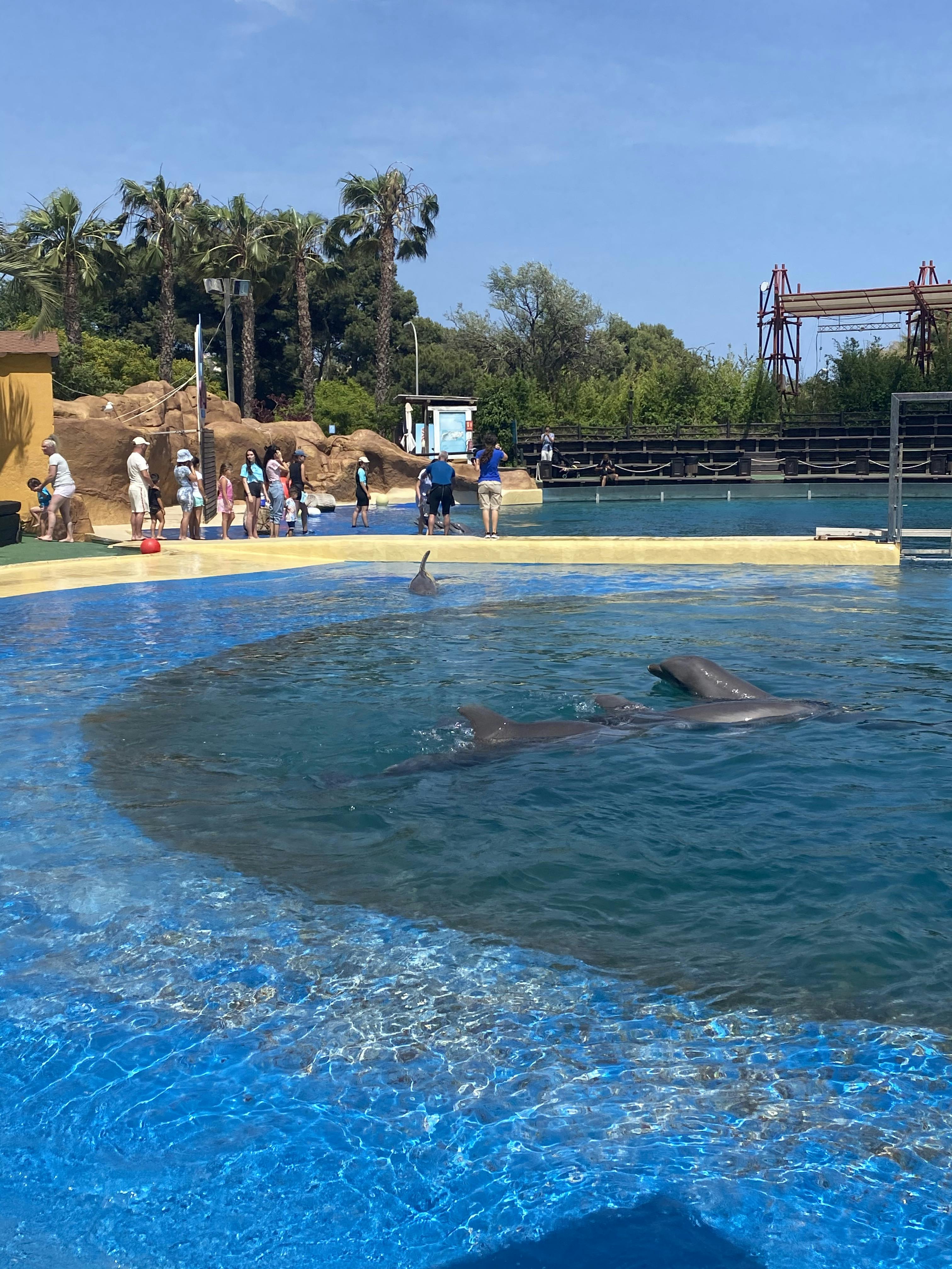 Selwo Marina tickets Benalmádena