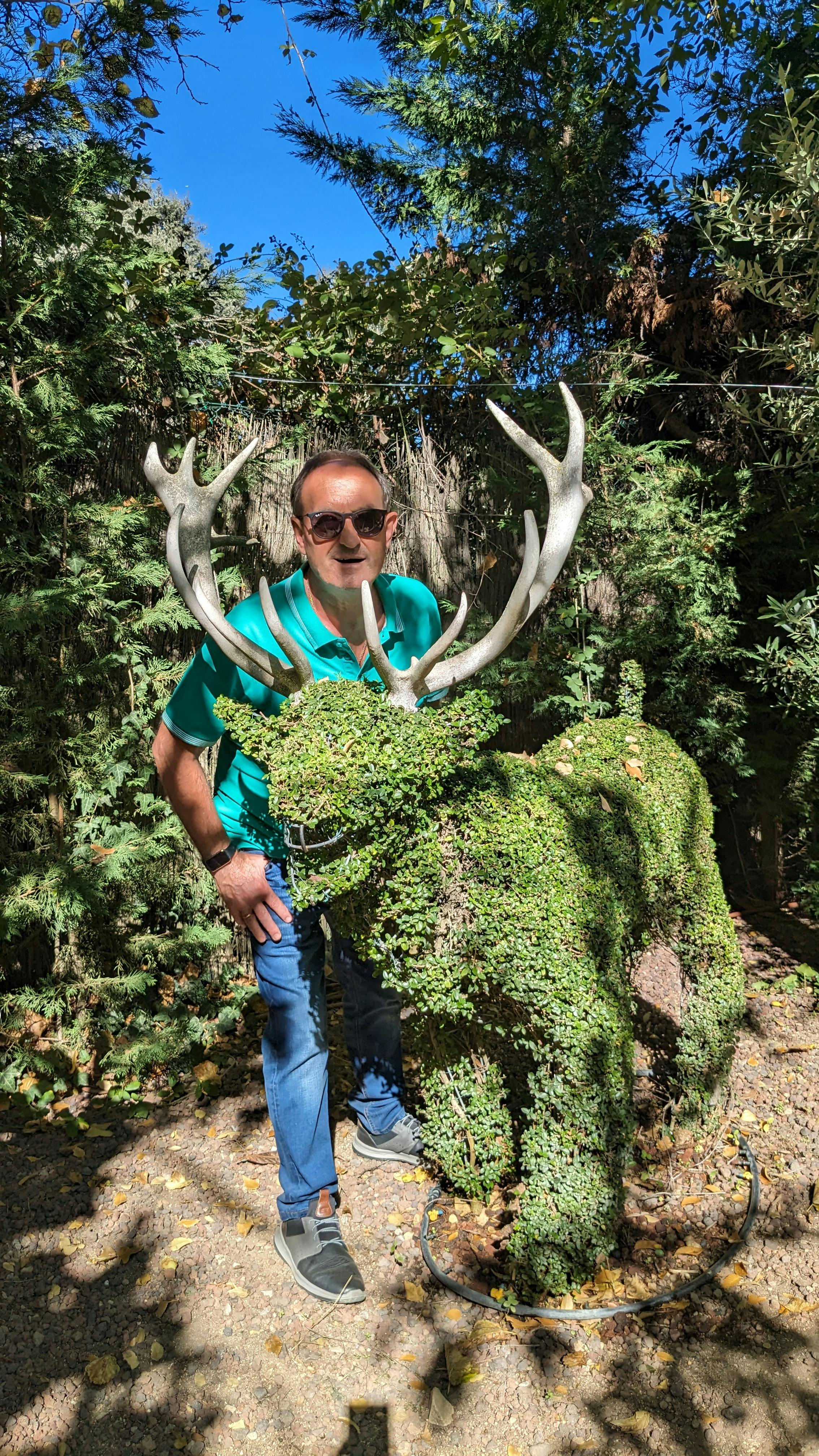 El Bosque Encantado entradas