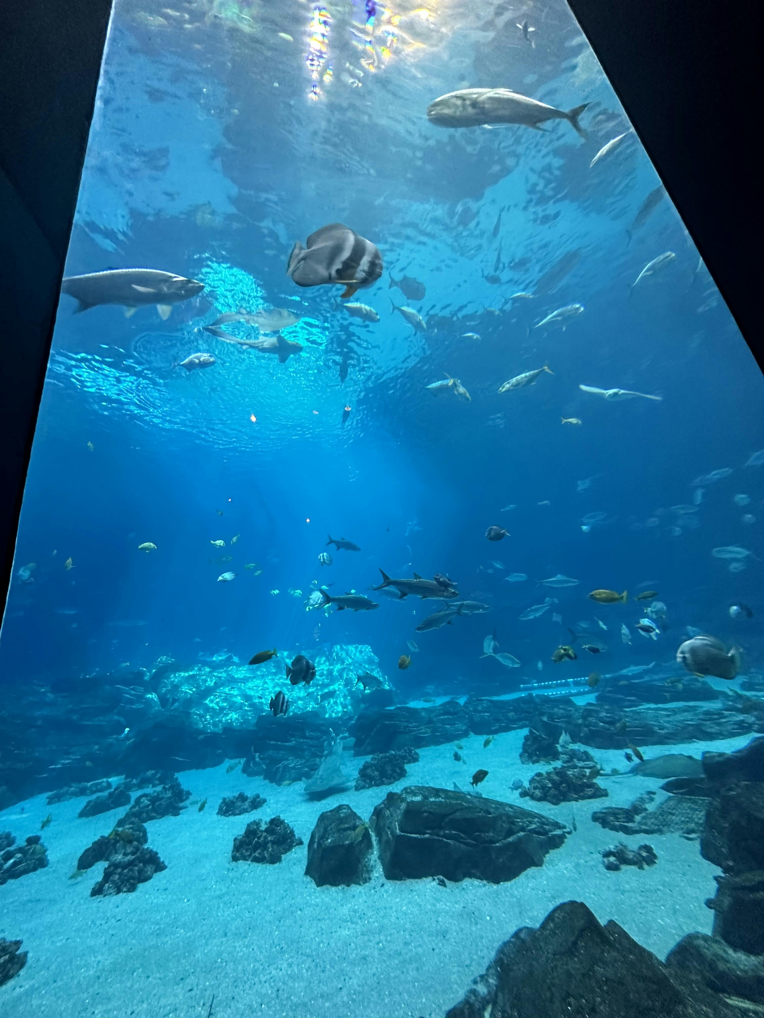 Aquarium Tickets Atlanta