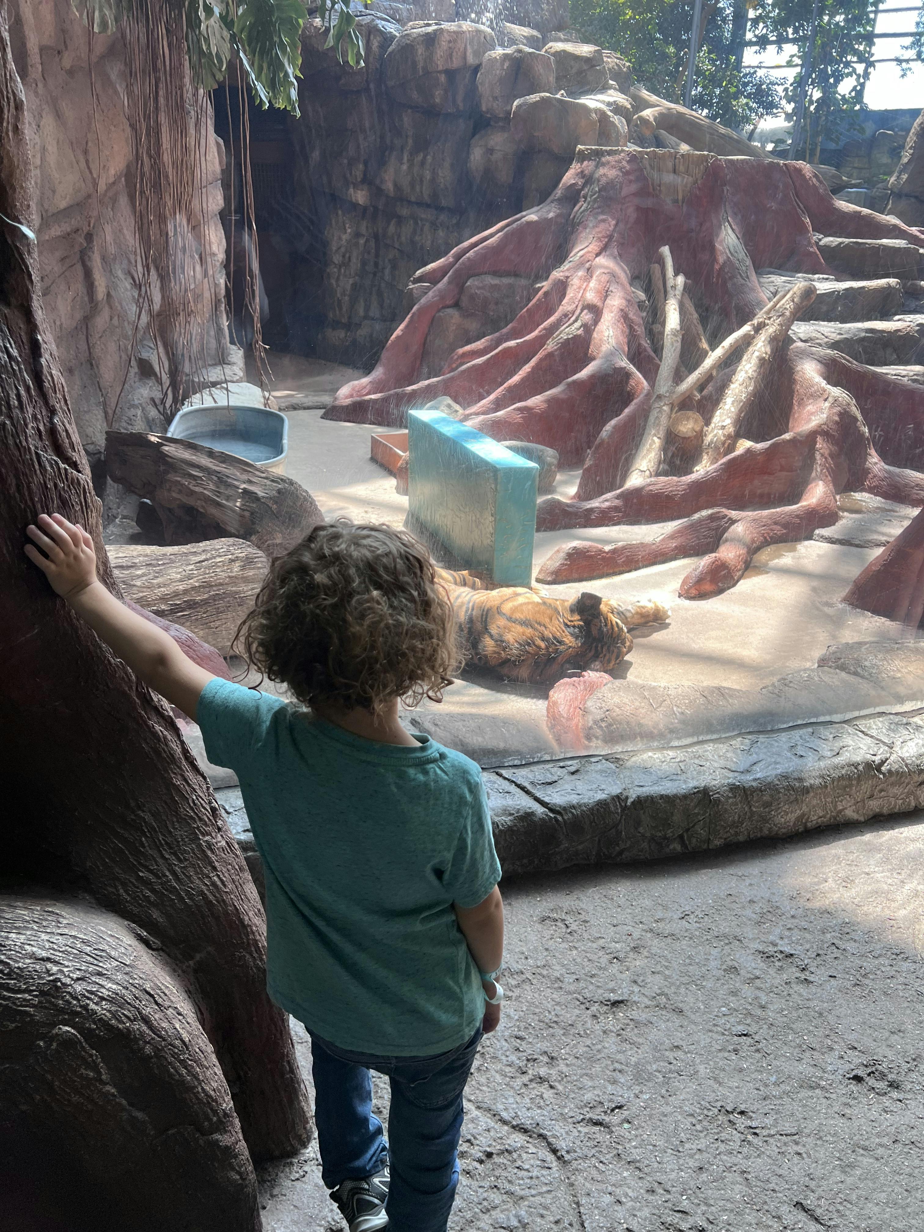 Downtown Aquarium Denver Tickets Denver