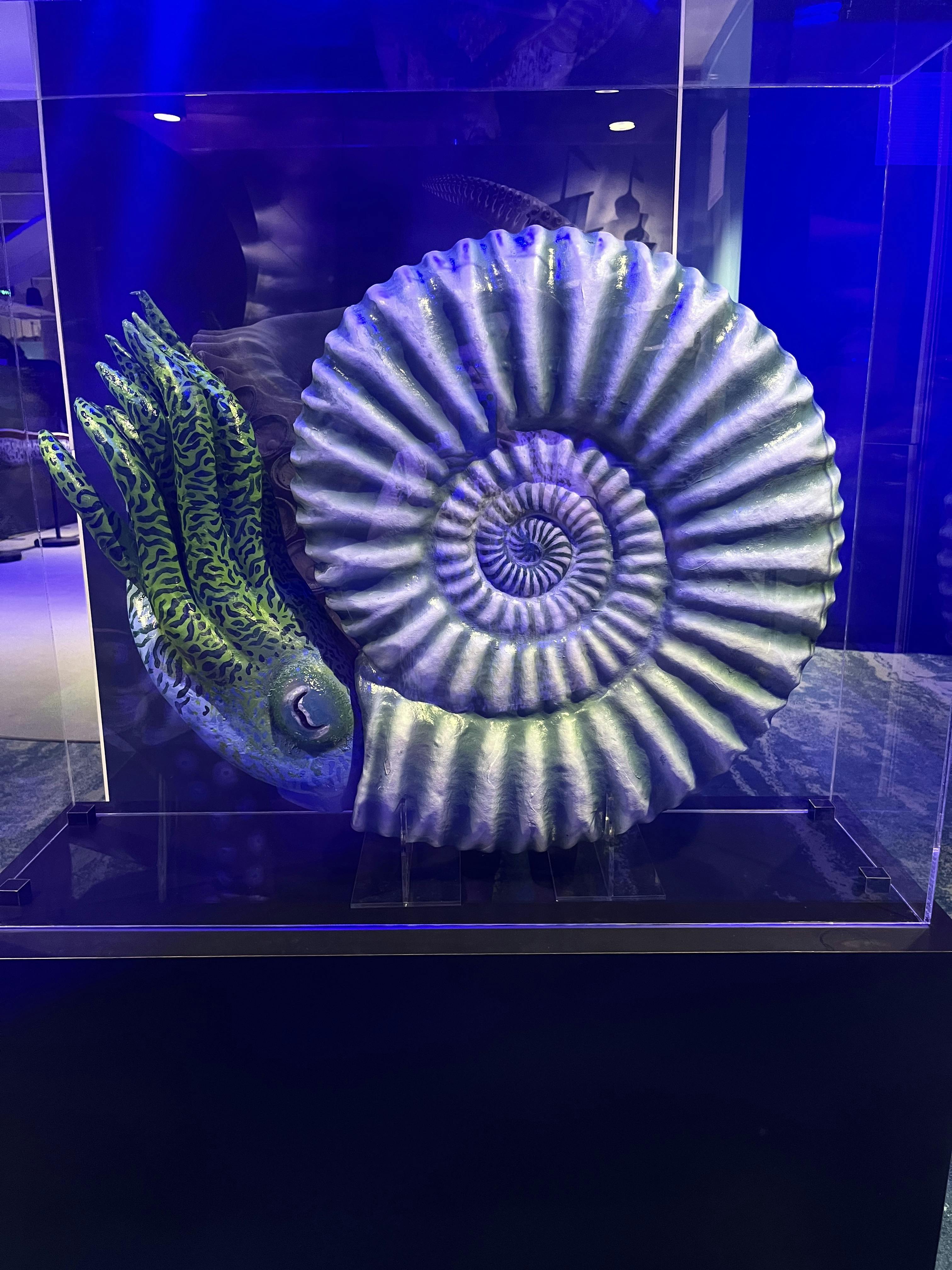 Clearwater Marine Aquarium General Admission Tiqets