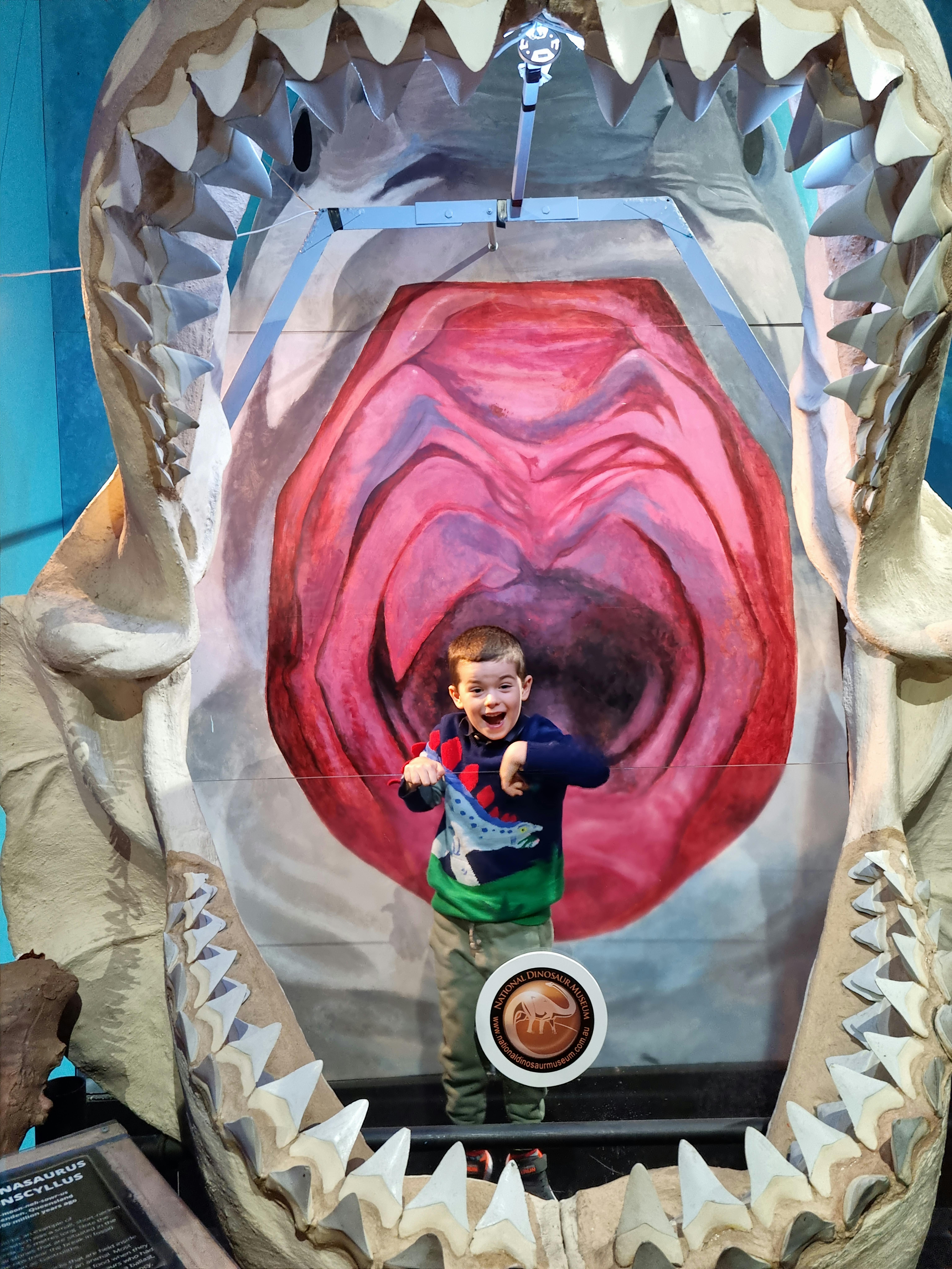 National Dinosaur Museum tickets Nicholls