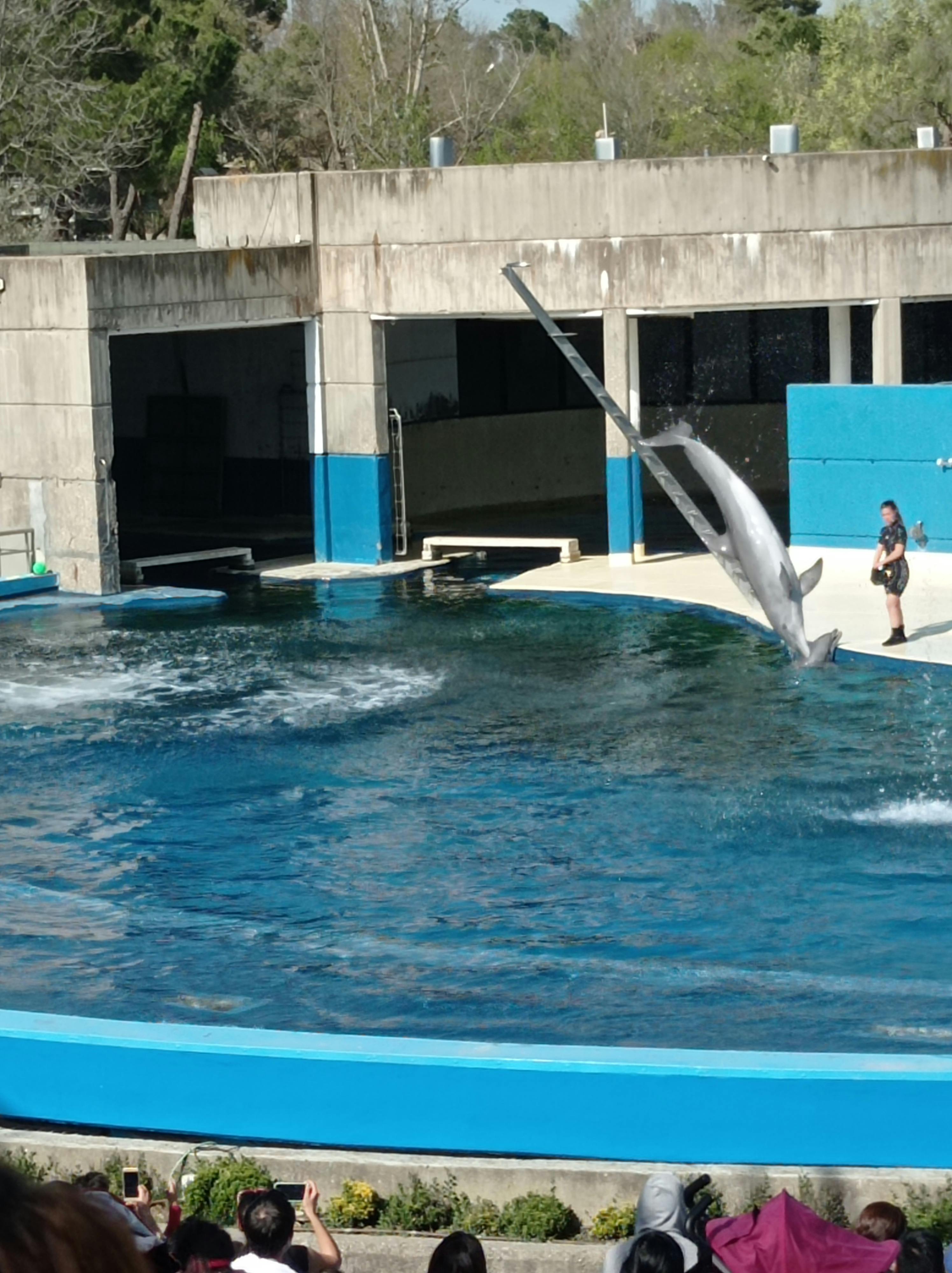 Entradas para Zoo Aquarium de Madrid Madrid