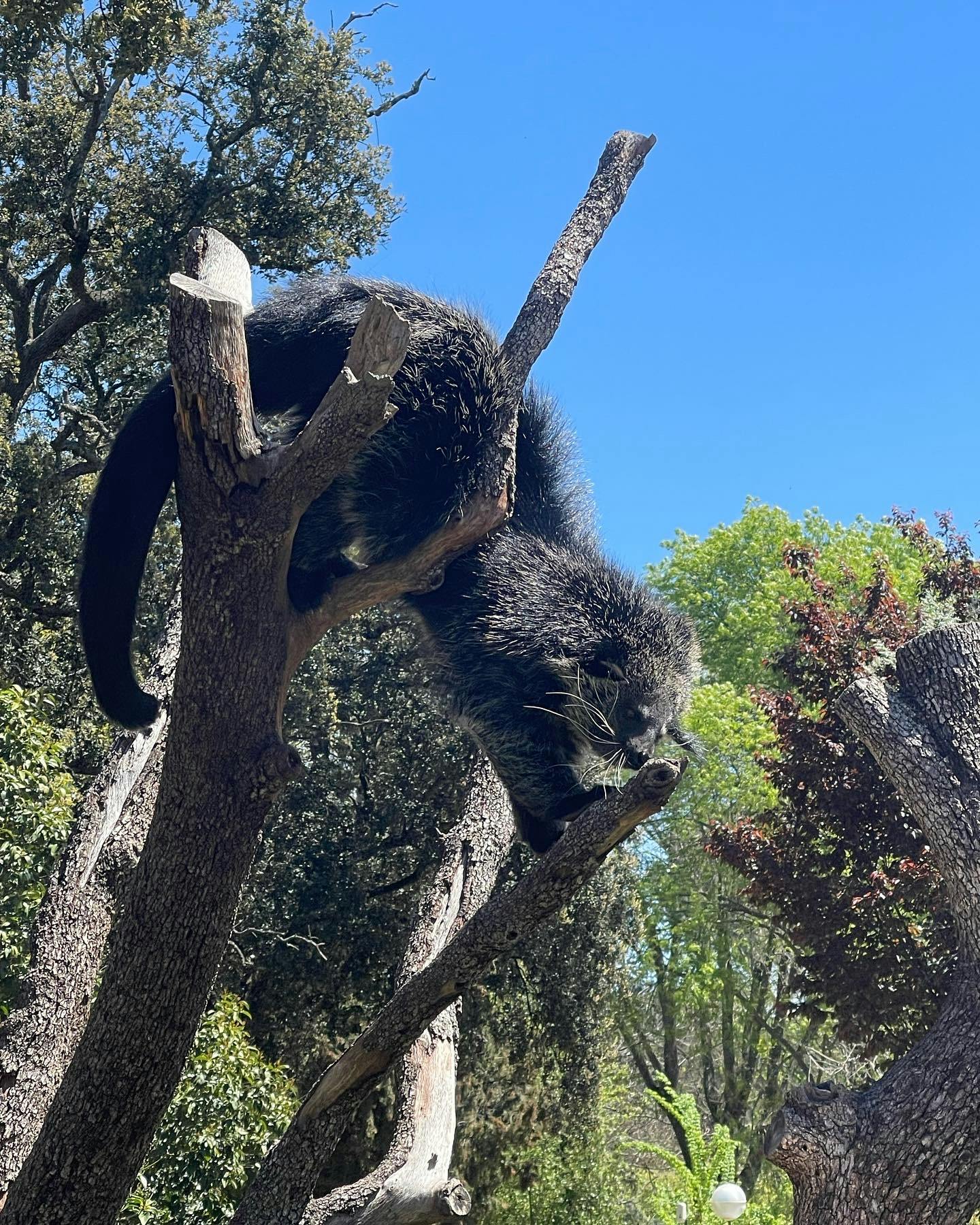 Entradas para Zoo Aquarium de Madrid Madrid