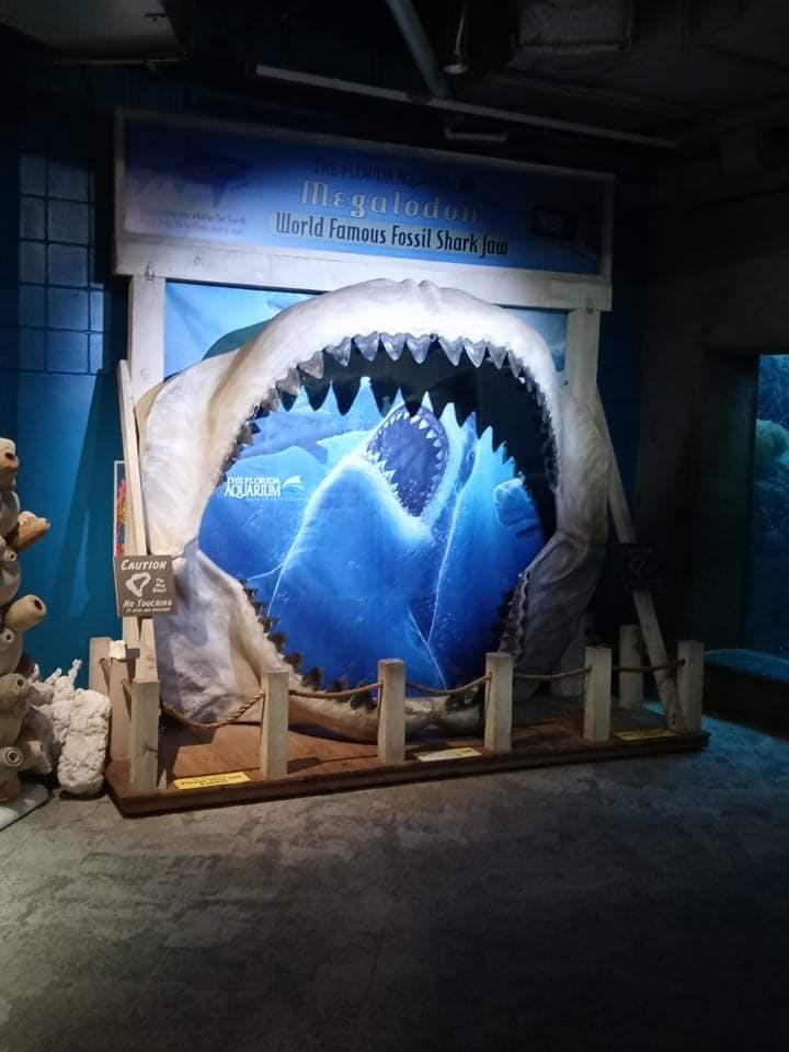 The Florida Aquarium Tickets - Tampa | Tiqets.com