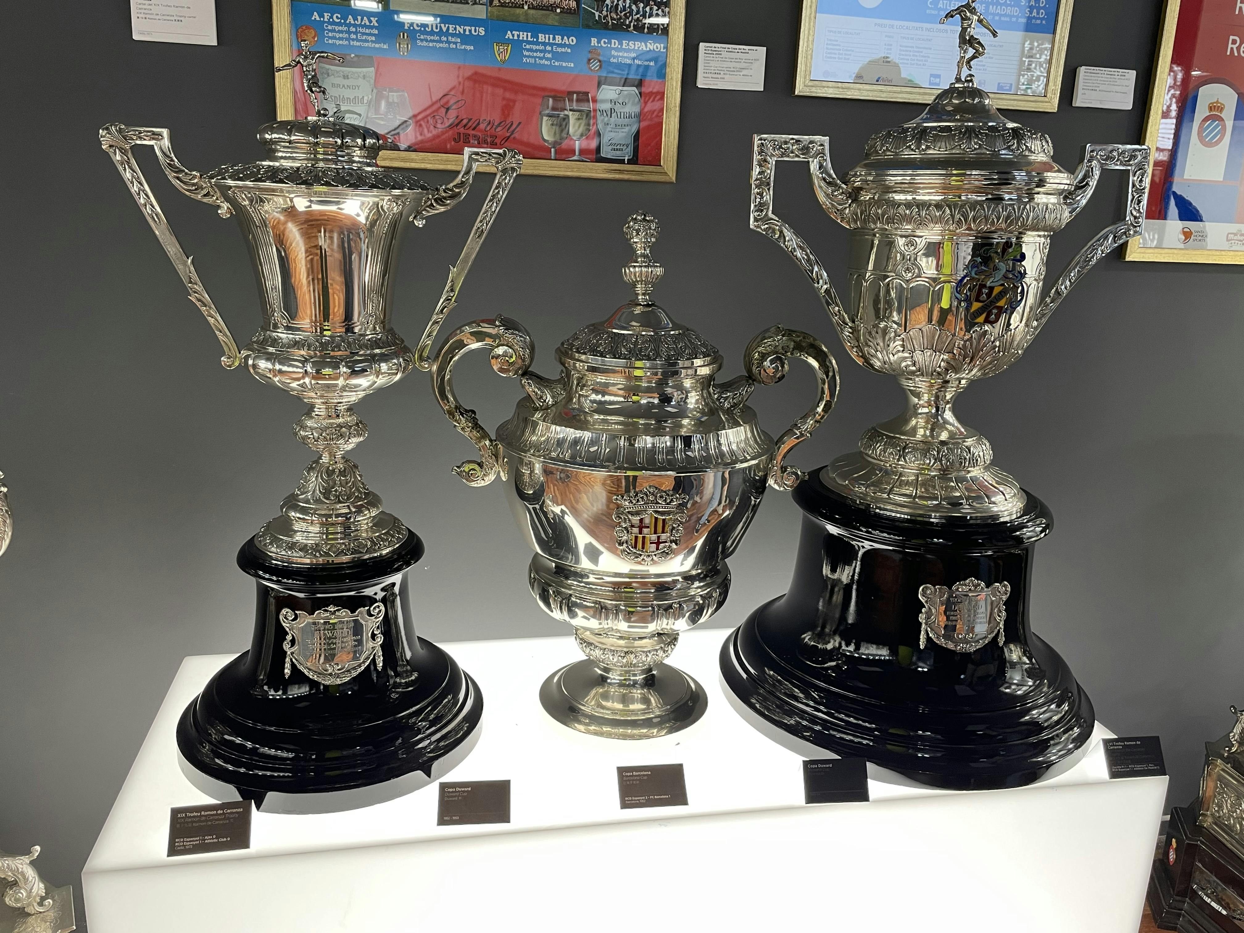 Rcdエスパニョールスタジアムのチケット ー クルナリャー ダ リュブラガート Tiqets Com