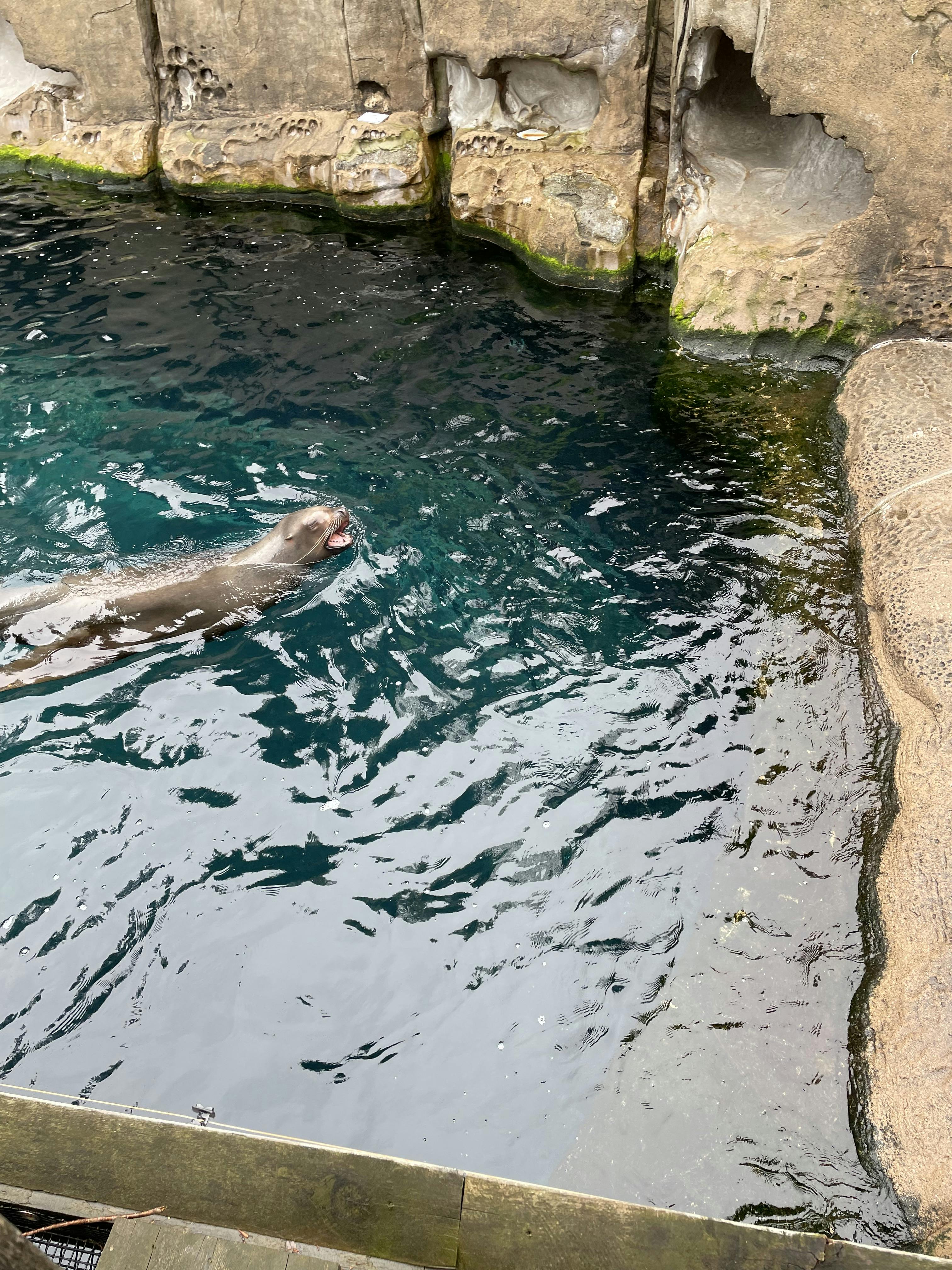 Vancouver Aquarium Tickets Book Now!