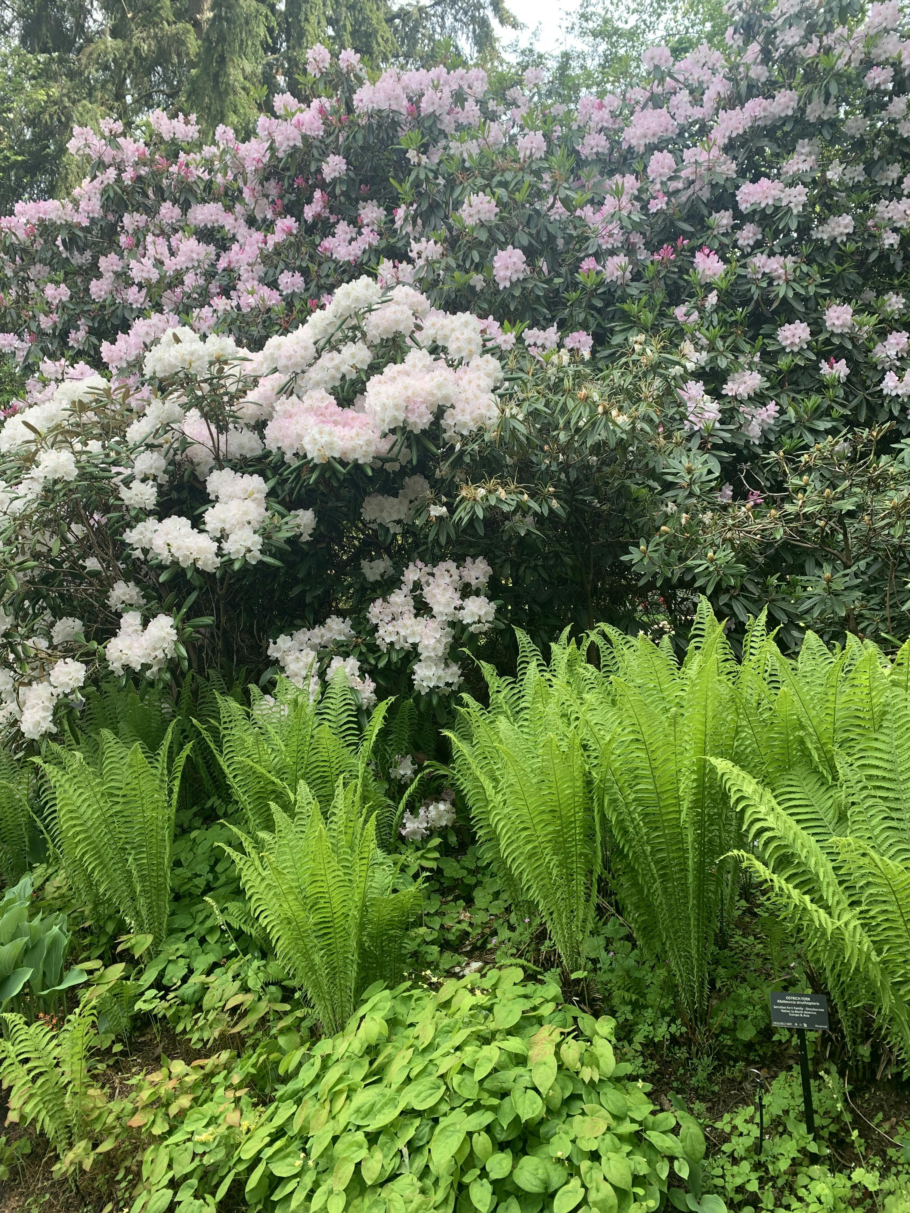 VanDusen Botanical Garden Tickets Vancouver