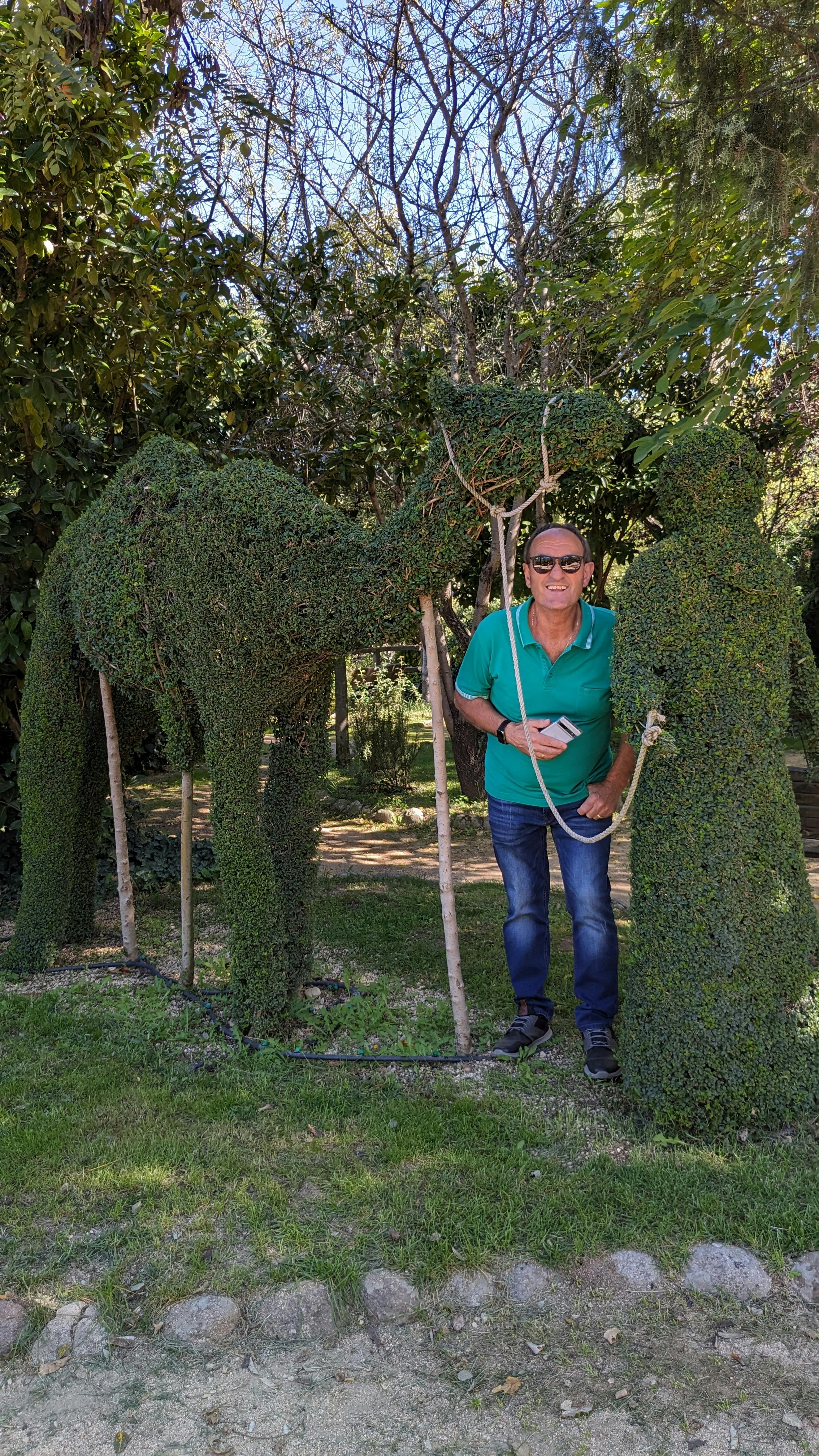 El Bosque Encantado entradas