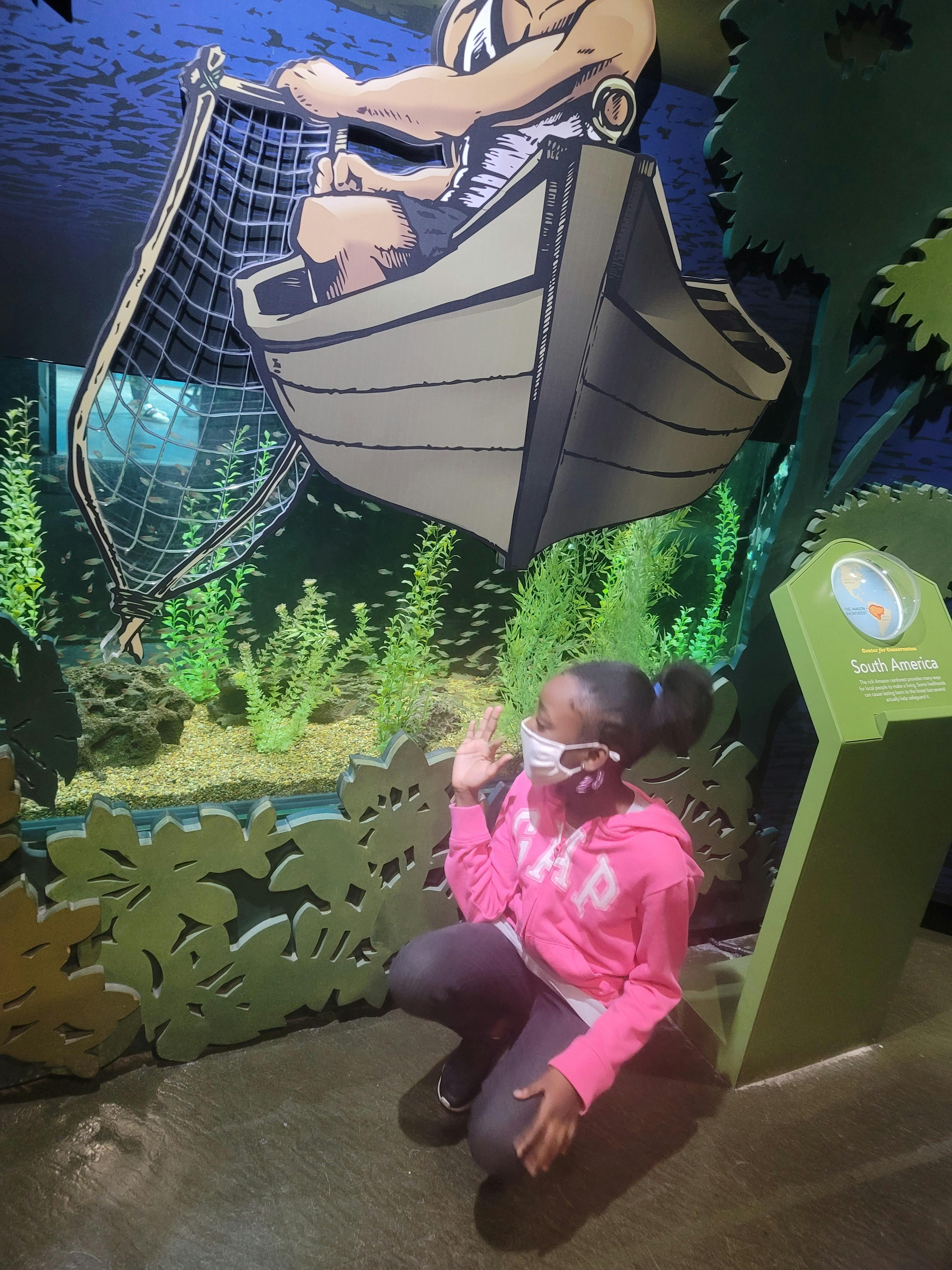 New York Aquarium Tickets Tiqets