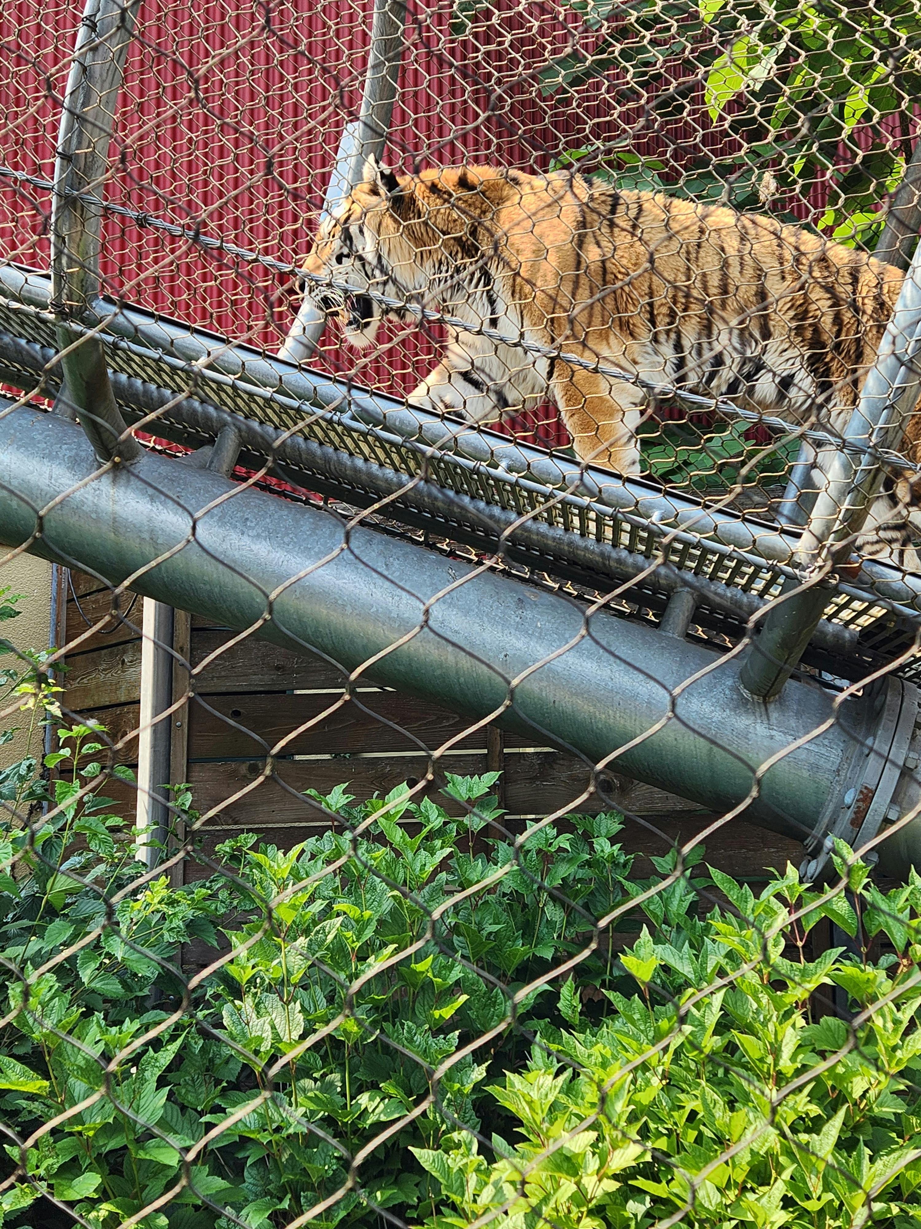 Philadelphia Zoo tickets Philadelphia