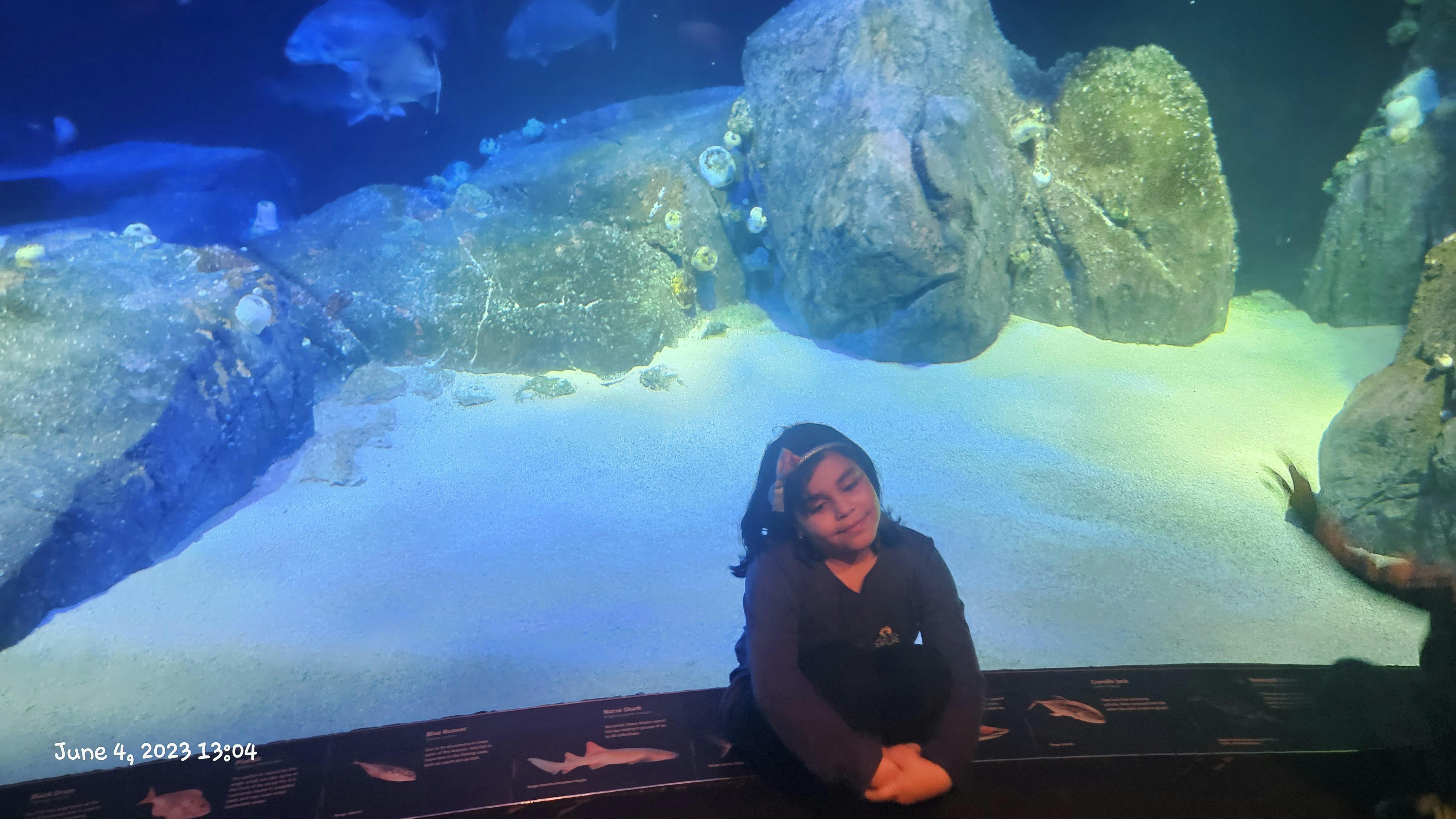 New York Aquarium Tickets New York