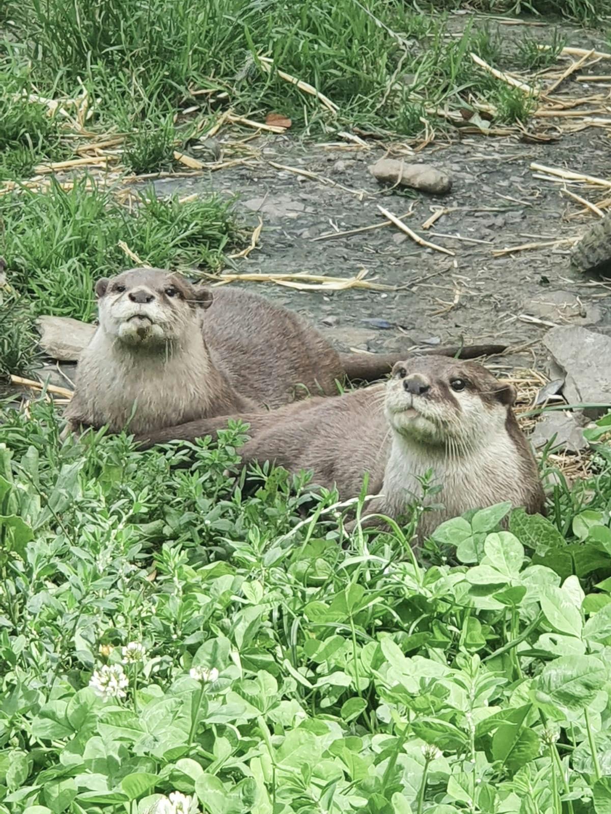 Exploris Aquarium tickets Portaferry