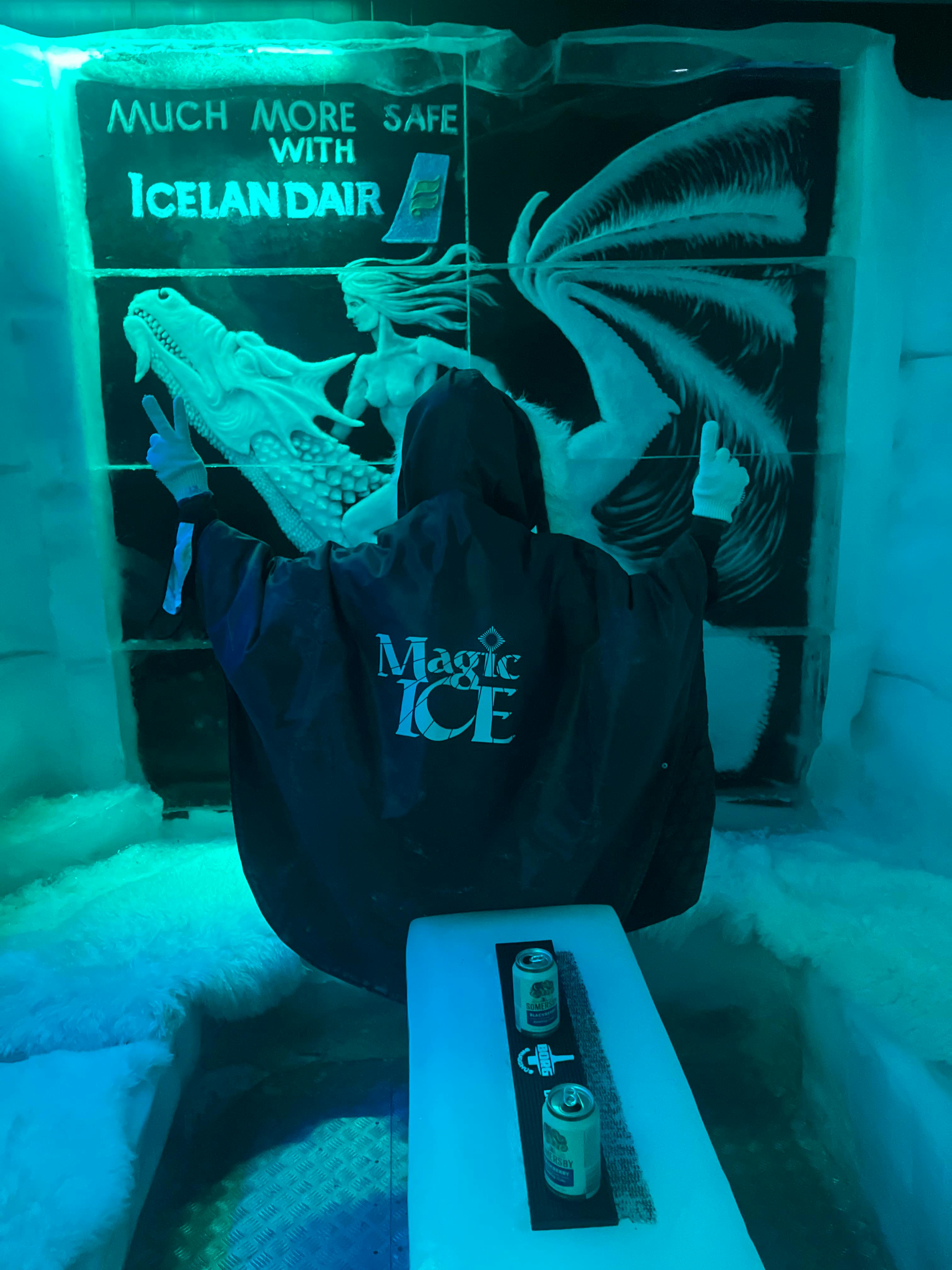 Magic Ice Bar Reykjavik + Aurores boréales en bateau Extra