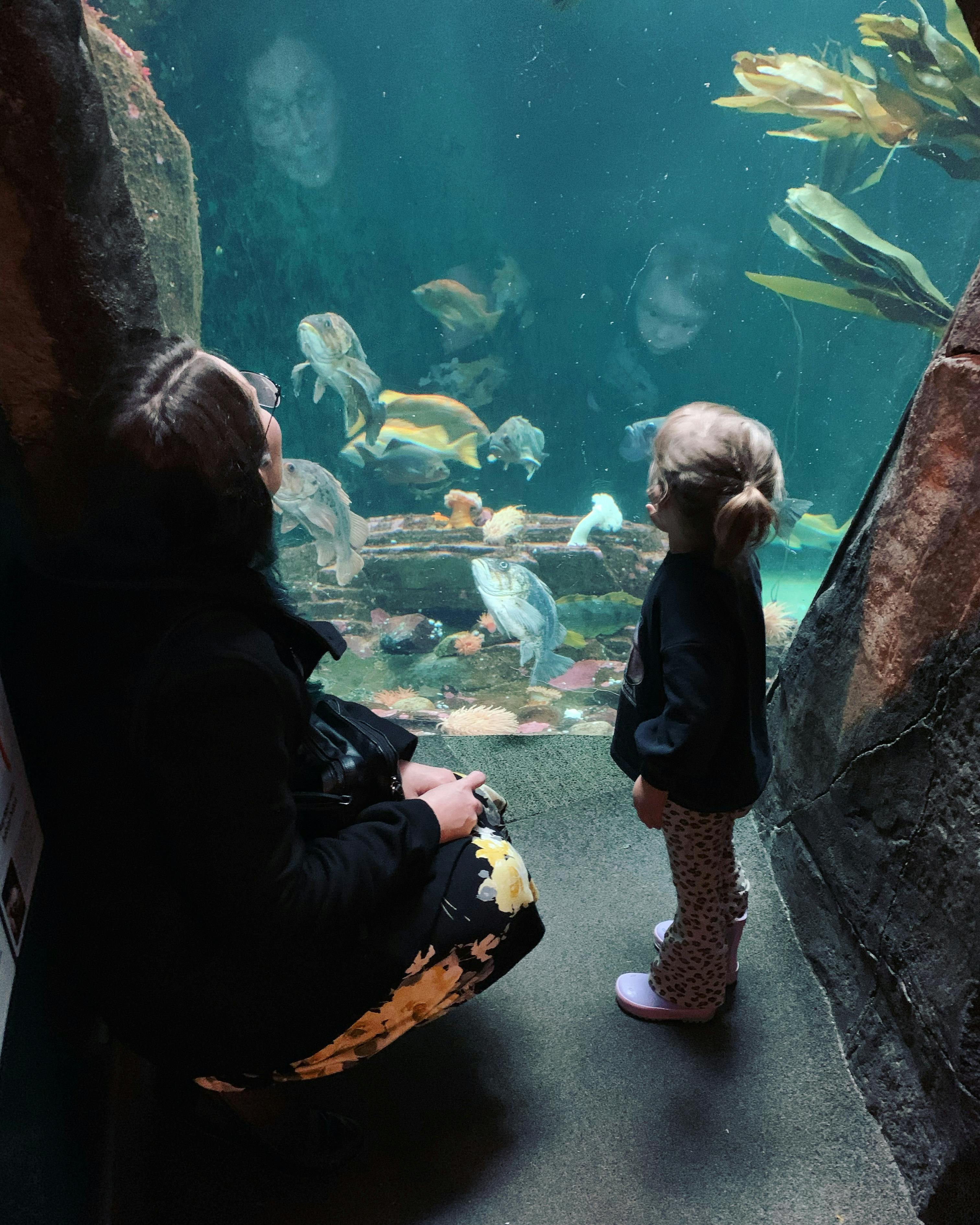 Vancouver Aquarium Tickets Book Now!