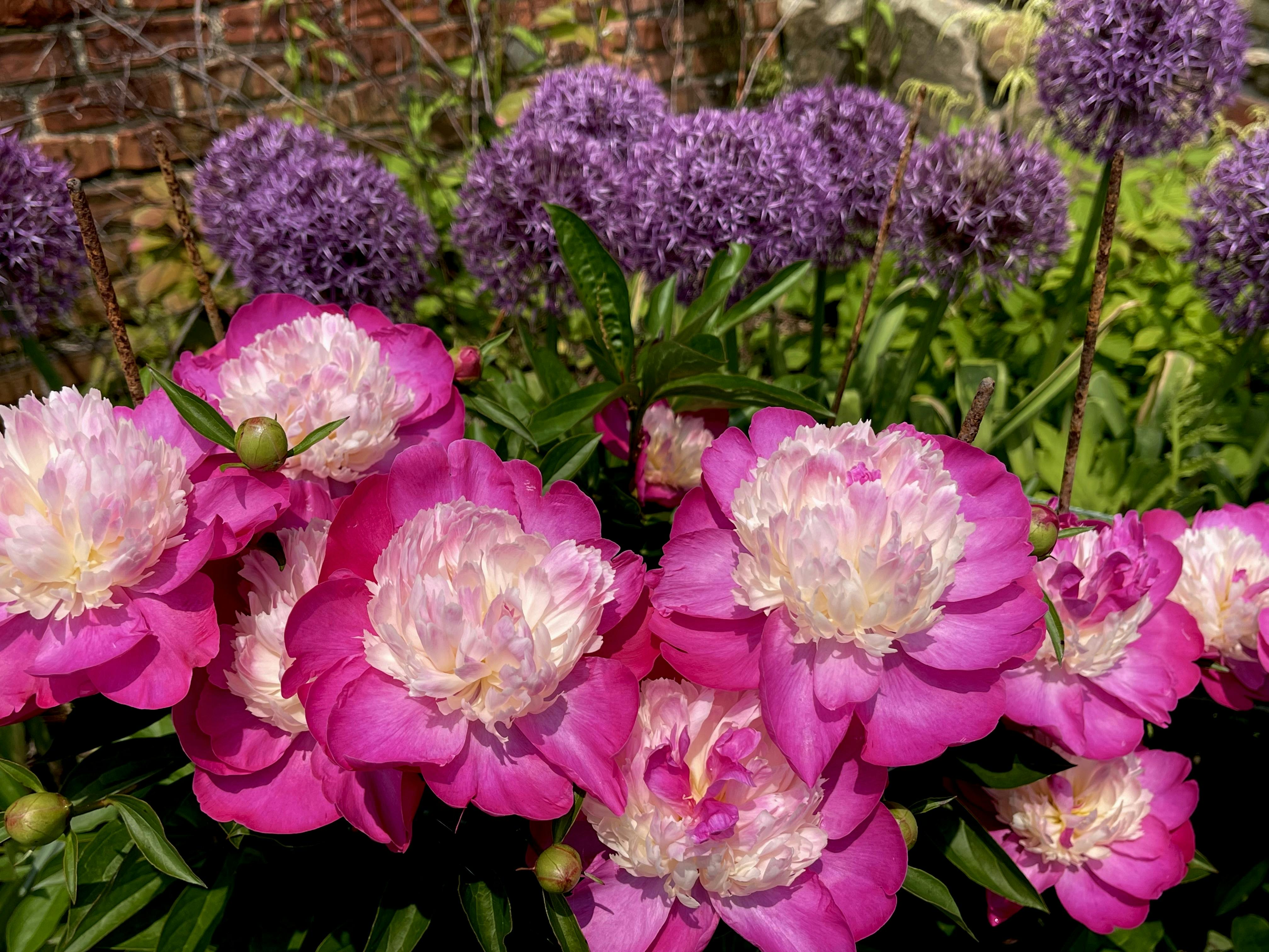 Old Westbury Gardens tickets