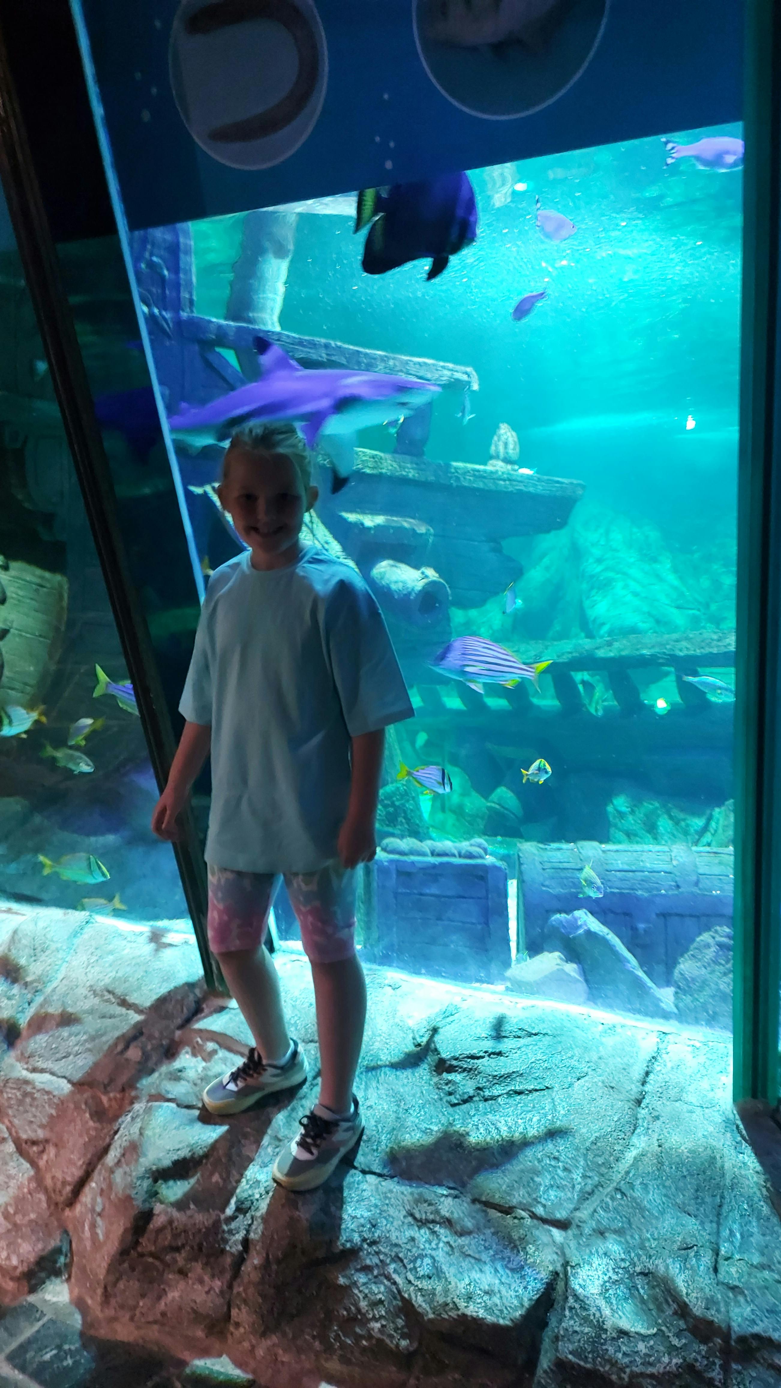 Exploris Aquarium tickets Portaferry