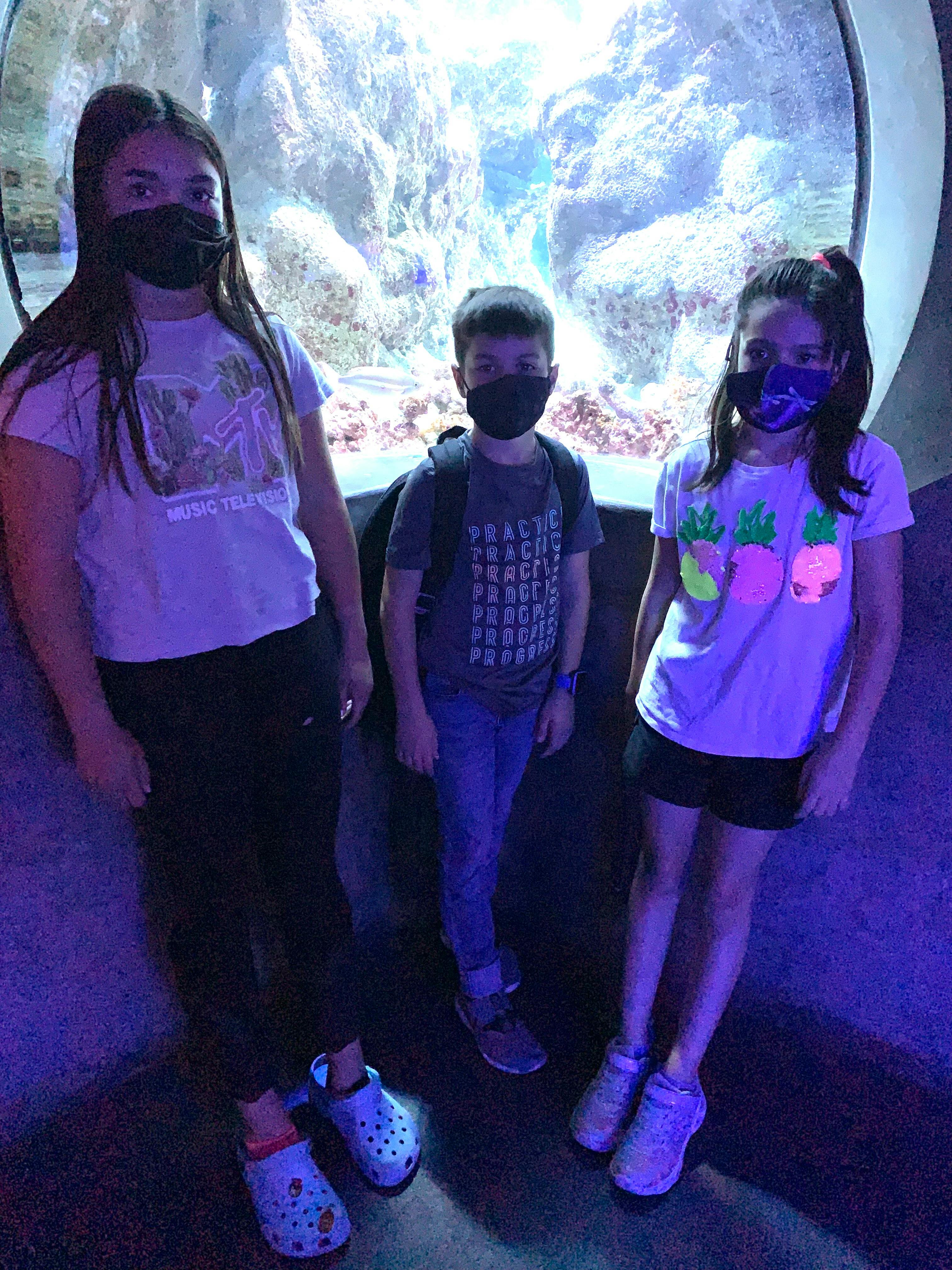 California Academy Of Sciences Tickets San Francisco Tiqets