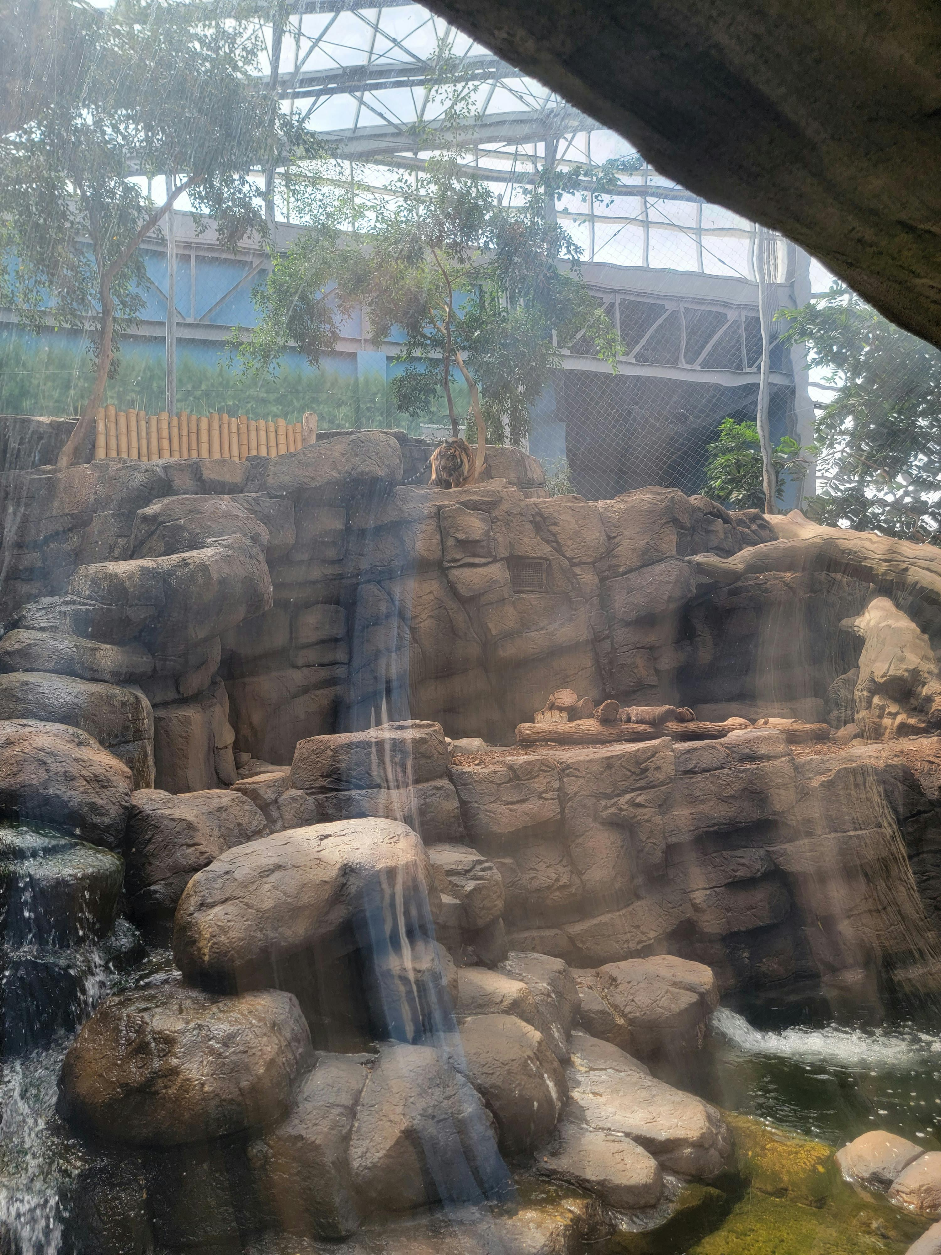 Downtown Aquarium Denver Tickets Denver