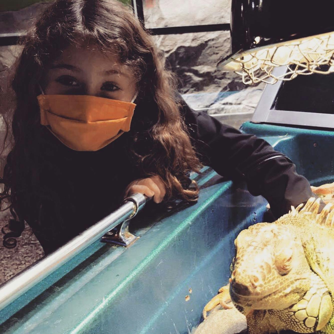 Austin Aquarium tickets Austin