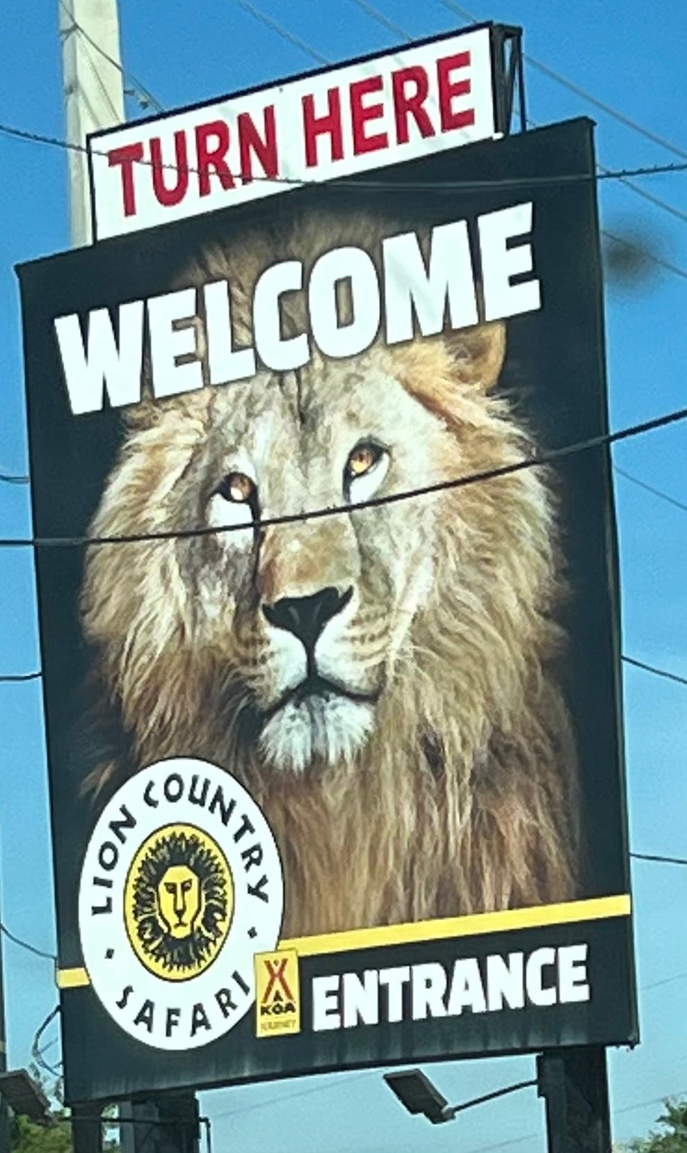 Lion Country Safari Tickets Loxahatchee