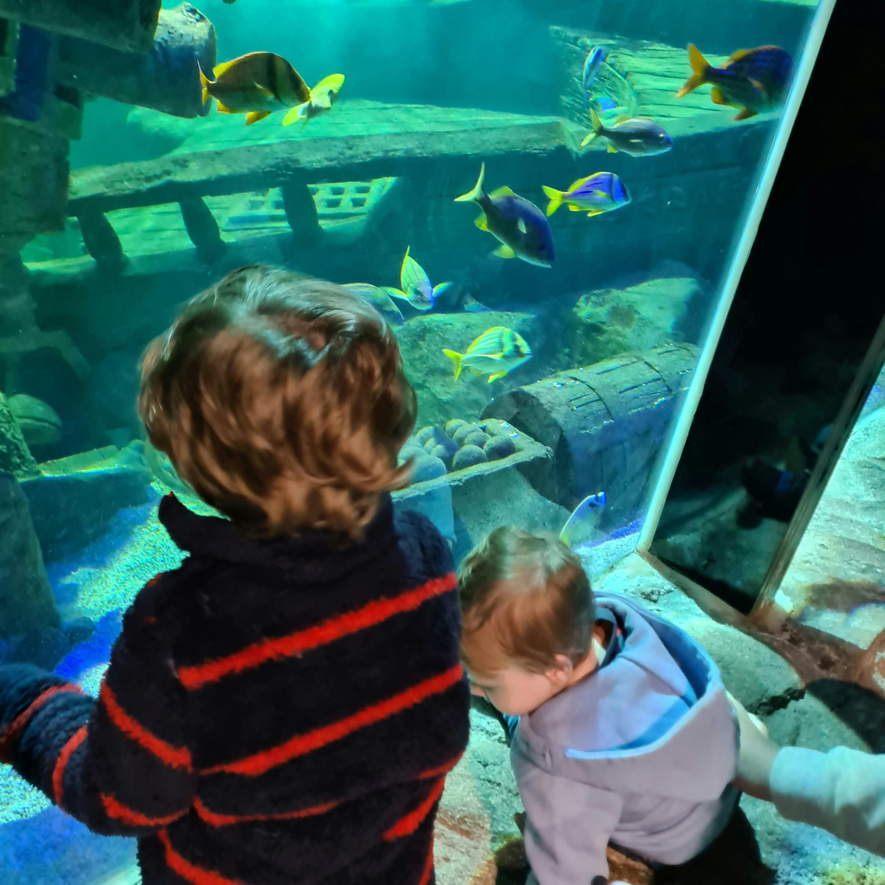 Exploris Aquarium Tickets Portaferry