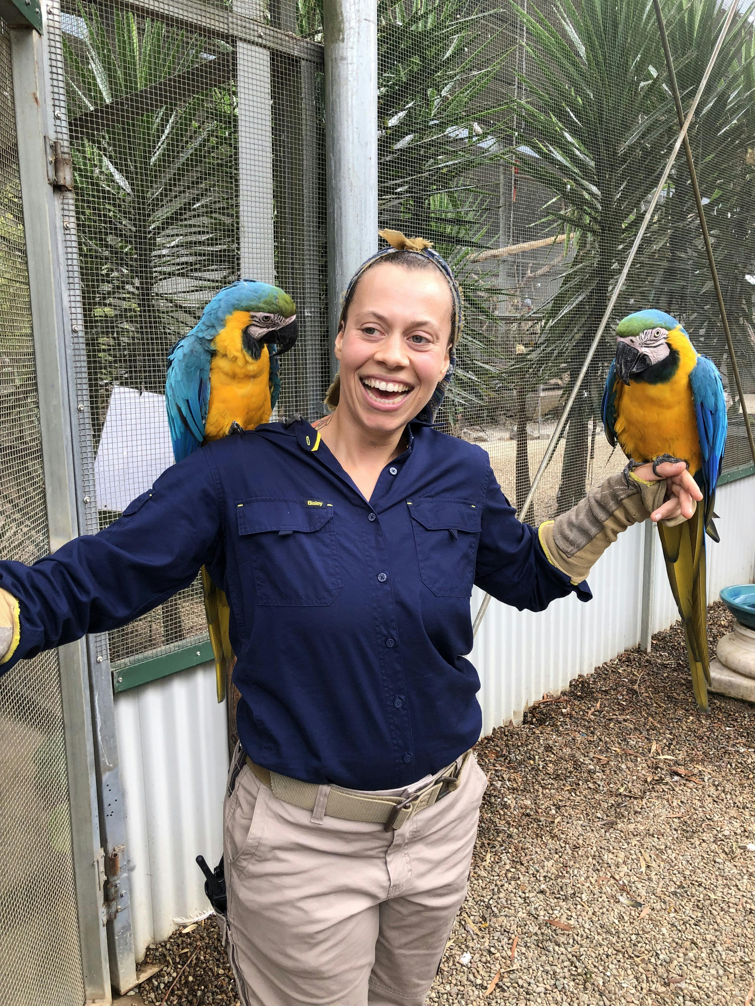 Maleny Botanic Gardens & Bird World Tickets Maleny