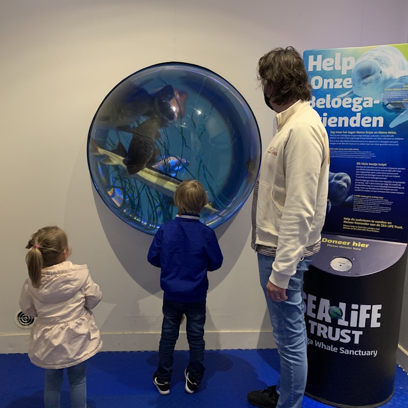 Tickets SEA LIFE Scheveningen The Hague Tickets SEA LIFE Scheveningen The Hague