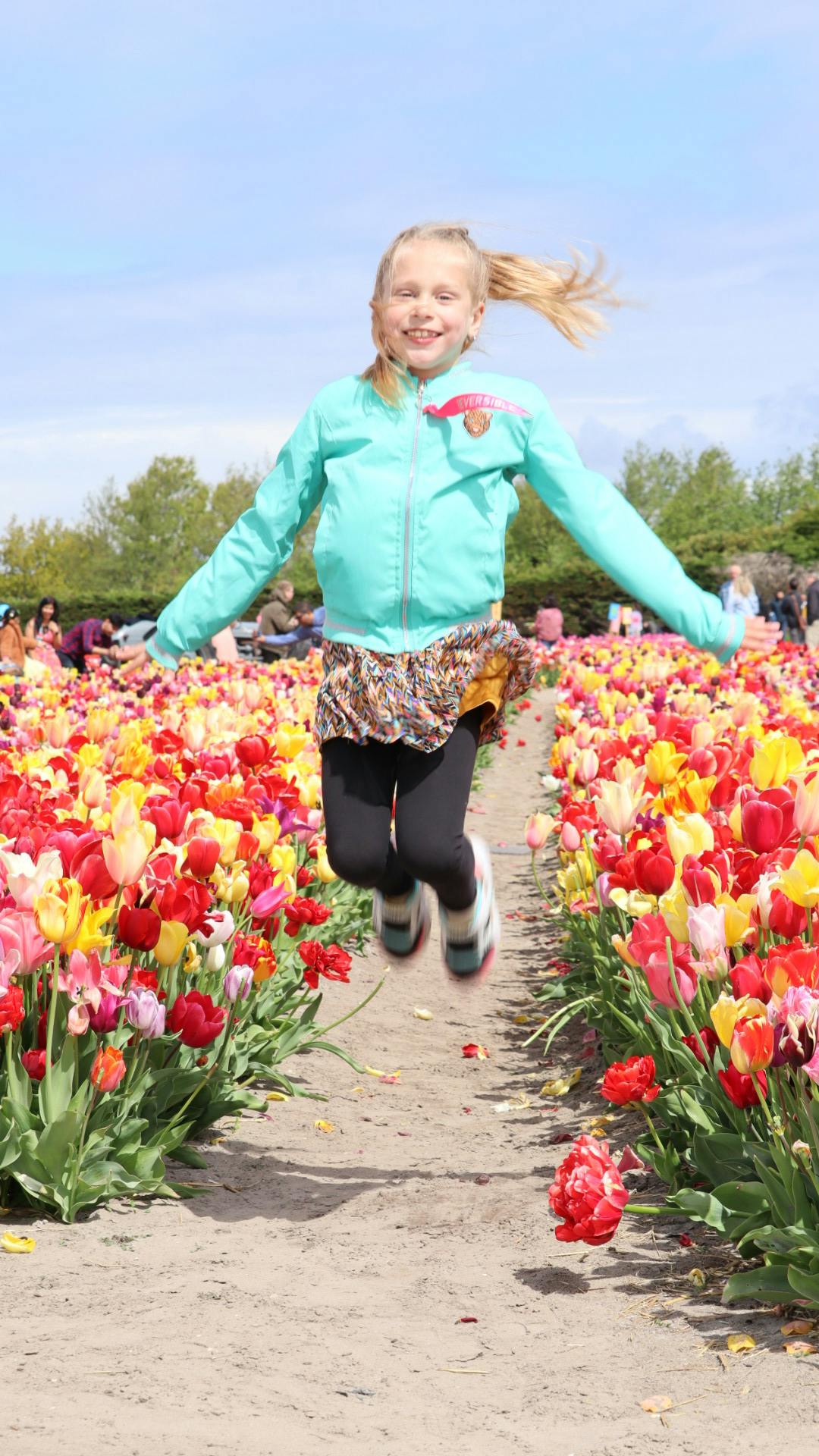 The Tulip Barn Tickets Tiqets