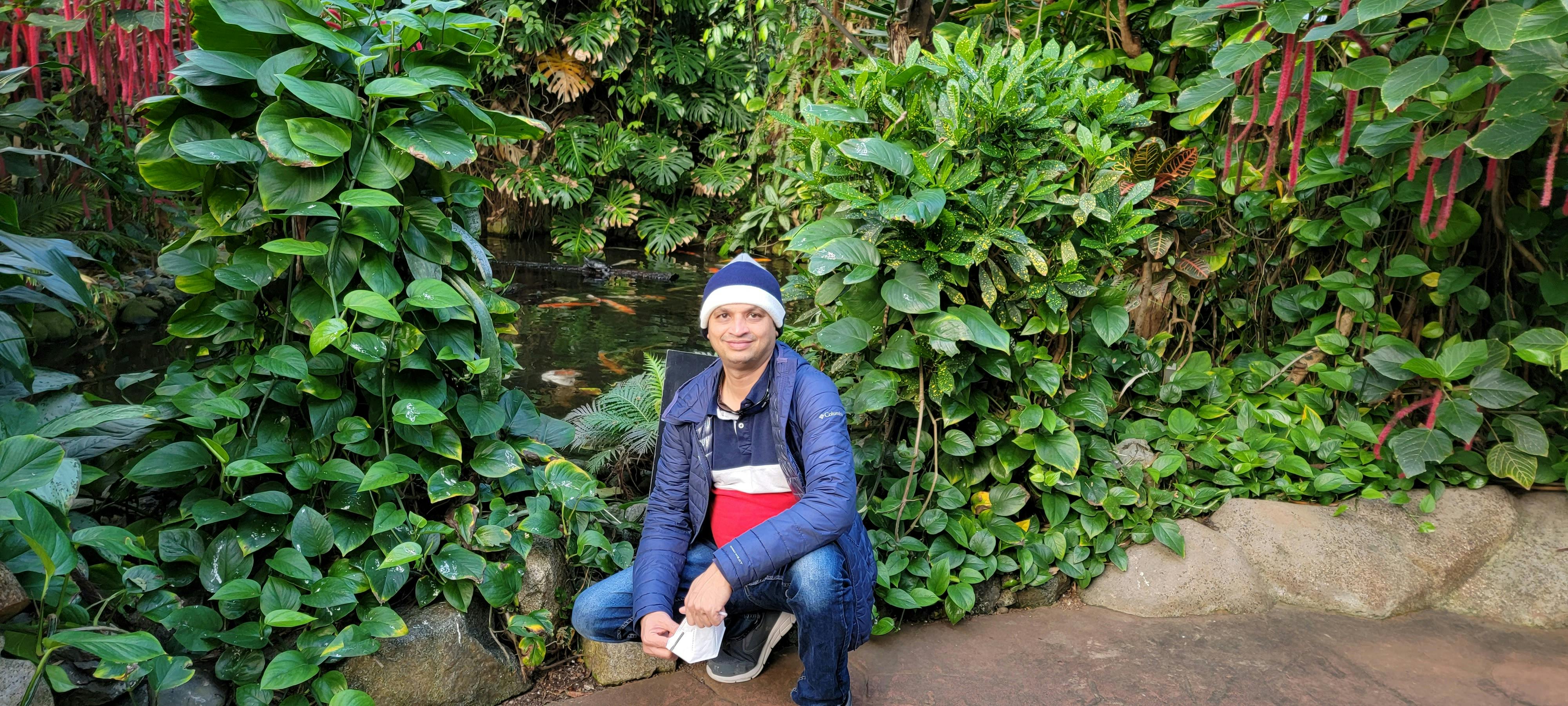 Victoria Butterfly Gardens tickets Victoria