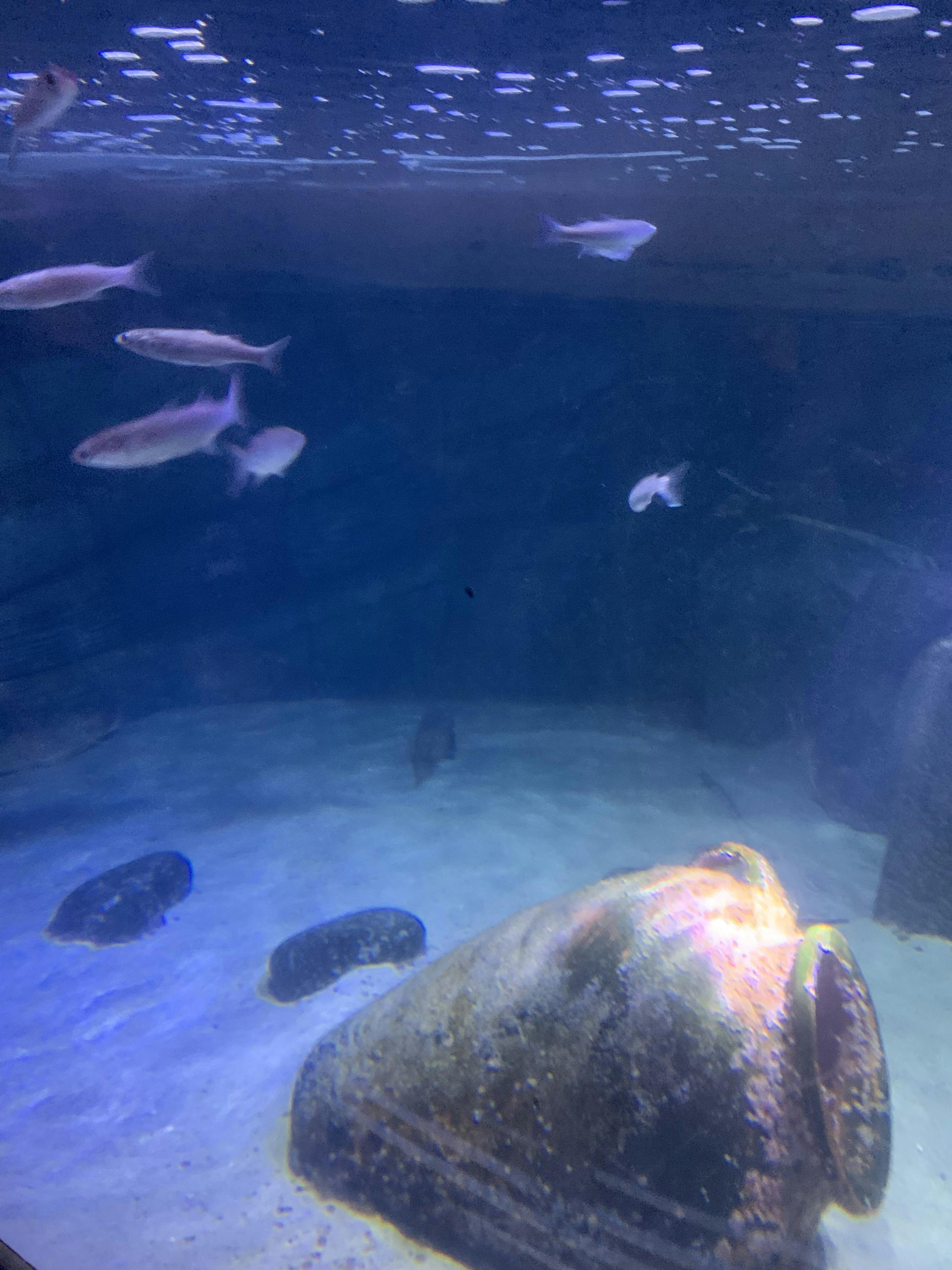 SEA LIFE BerlinTickets Berlin