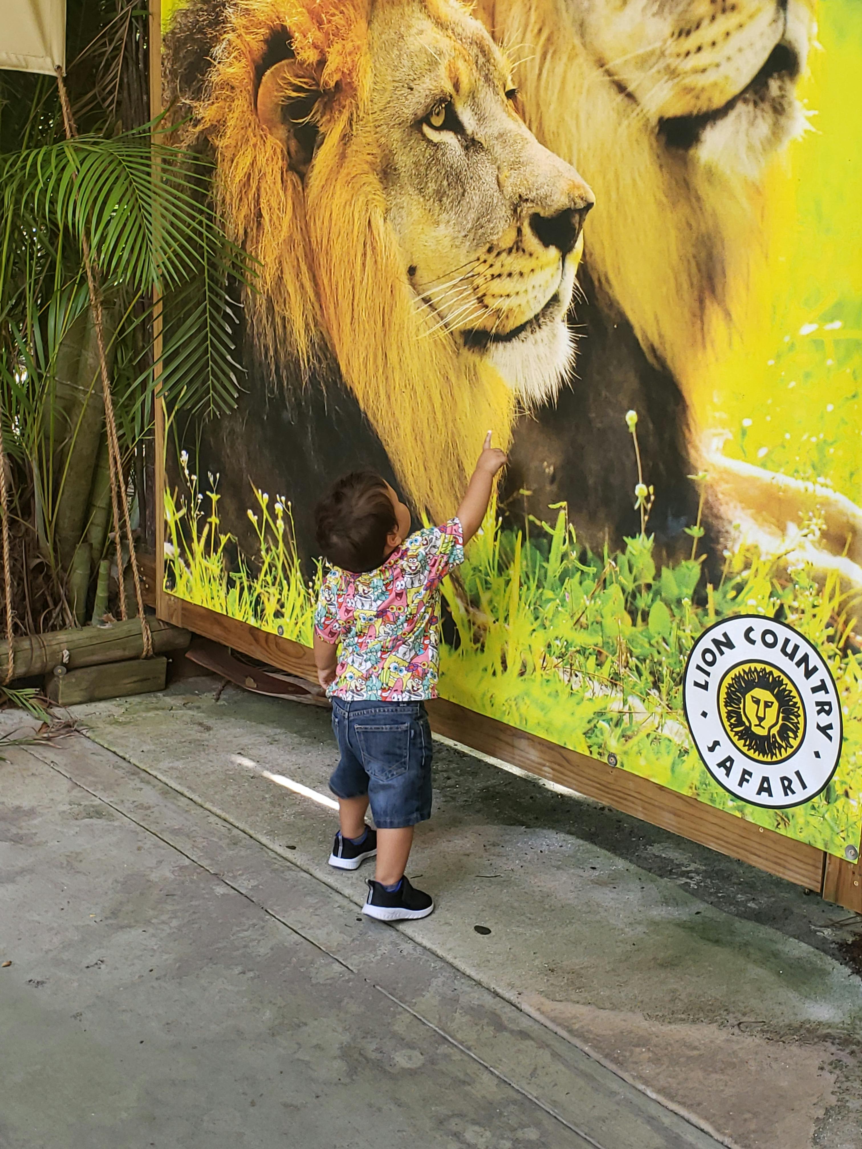 Lion Country Safari Tickets Loxahatchee