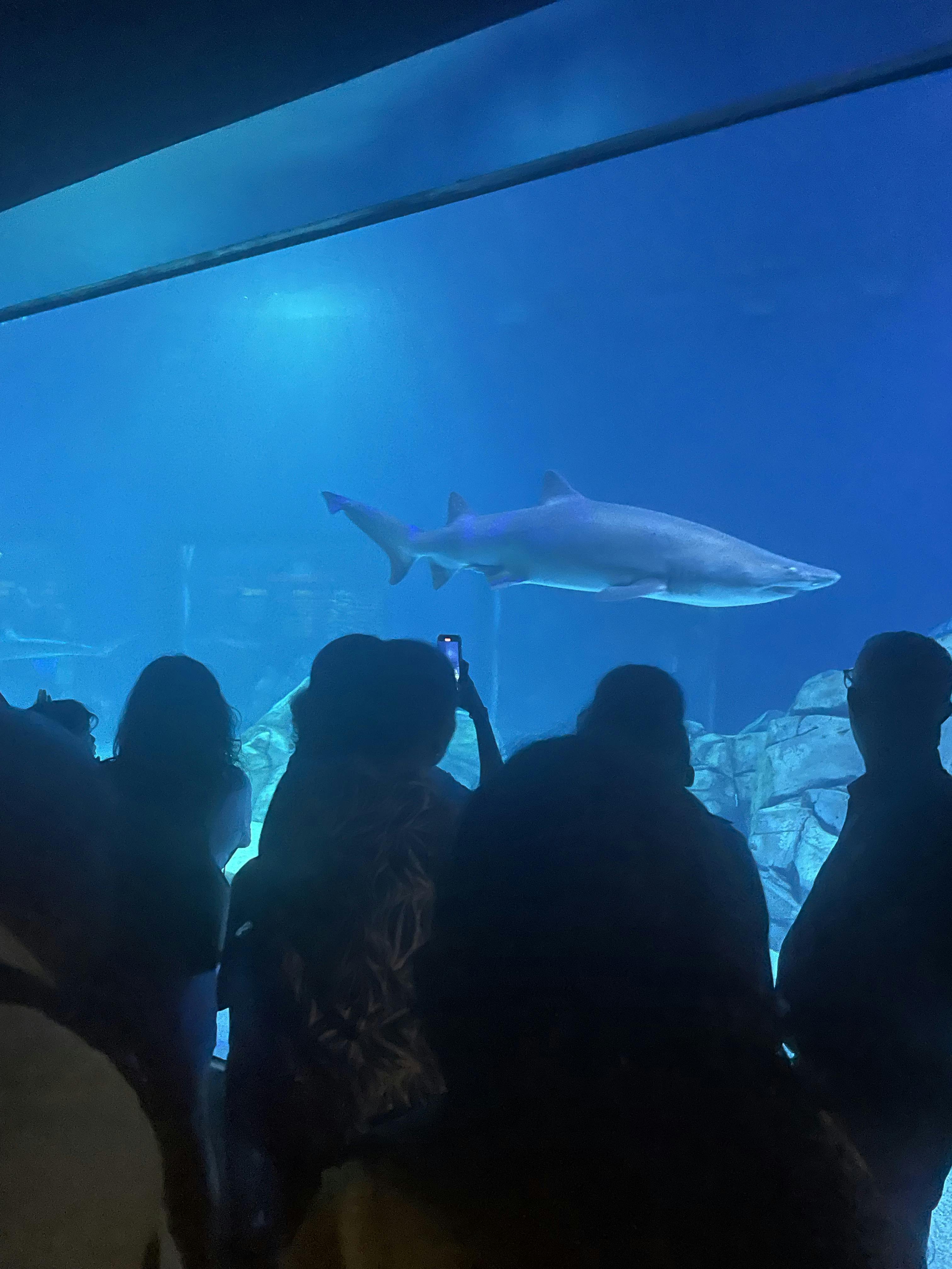 Aquarium Tickets Atlanta