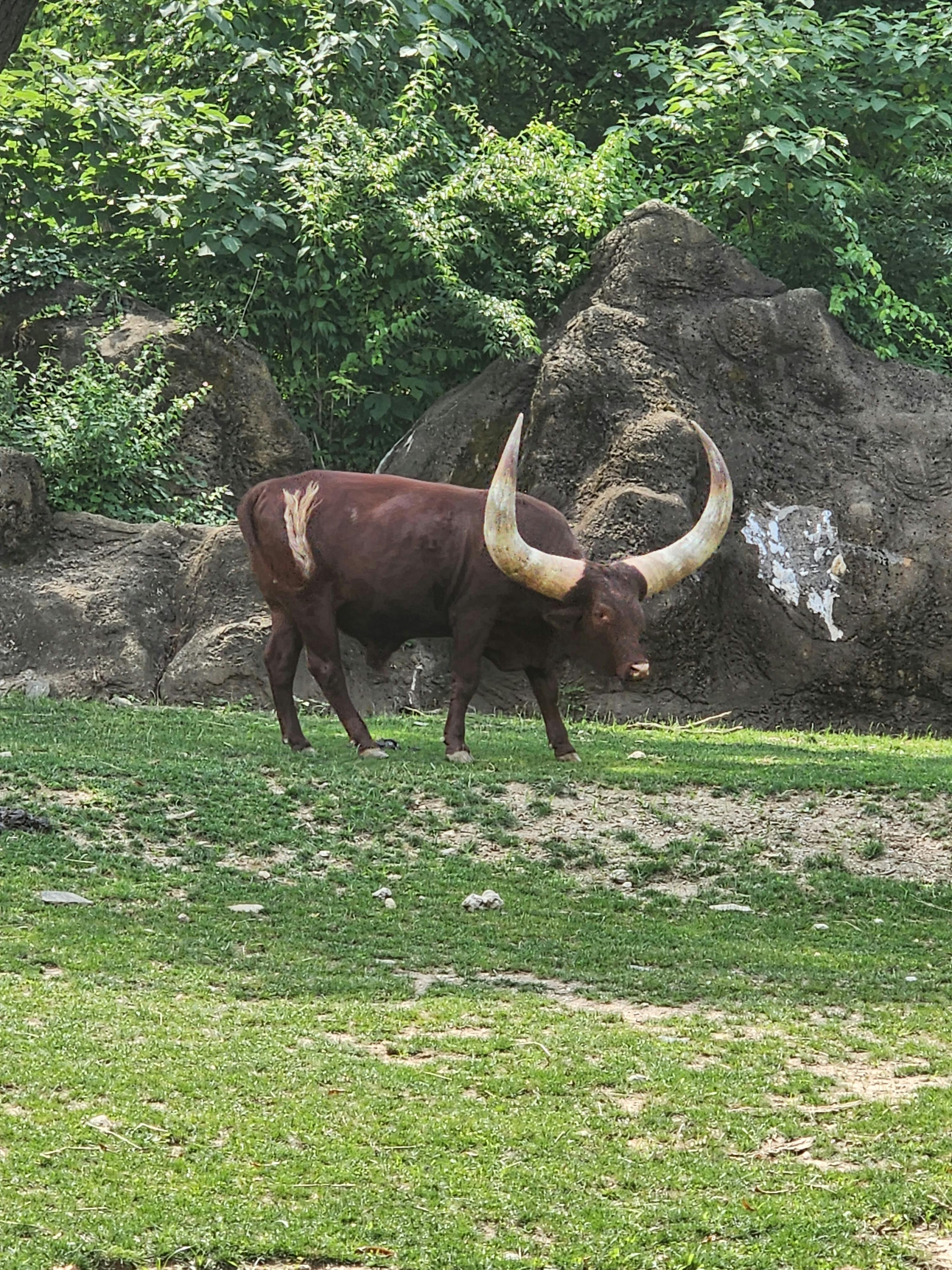 Philadelphia Zoo tickets Philadelphia