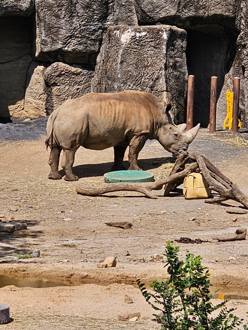 Philadelphia Zoo tickets Philadelphia