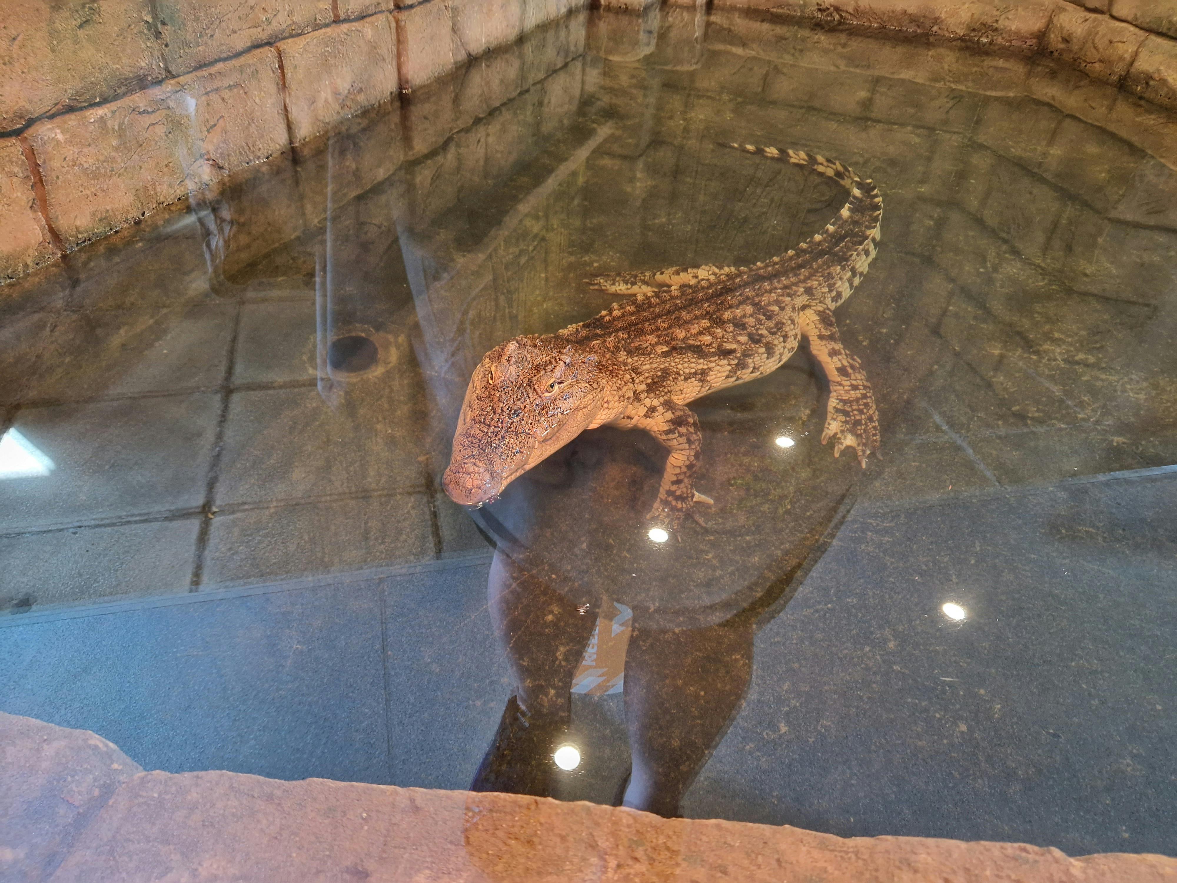 Exploris Aquarium Tickets Portaferry