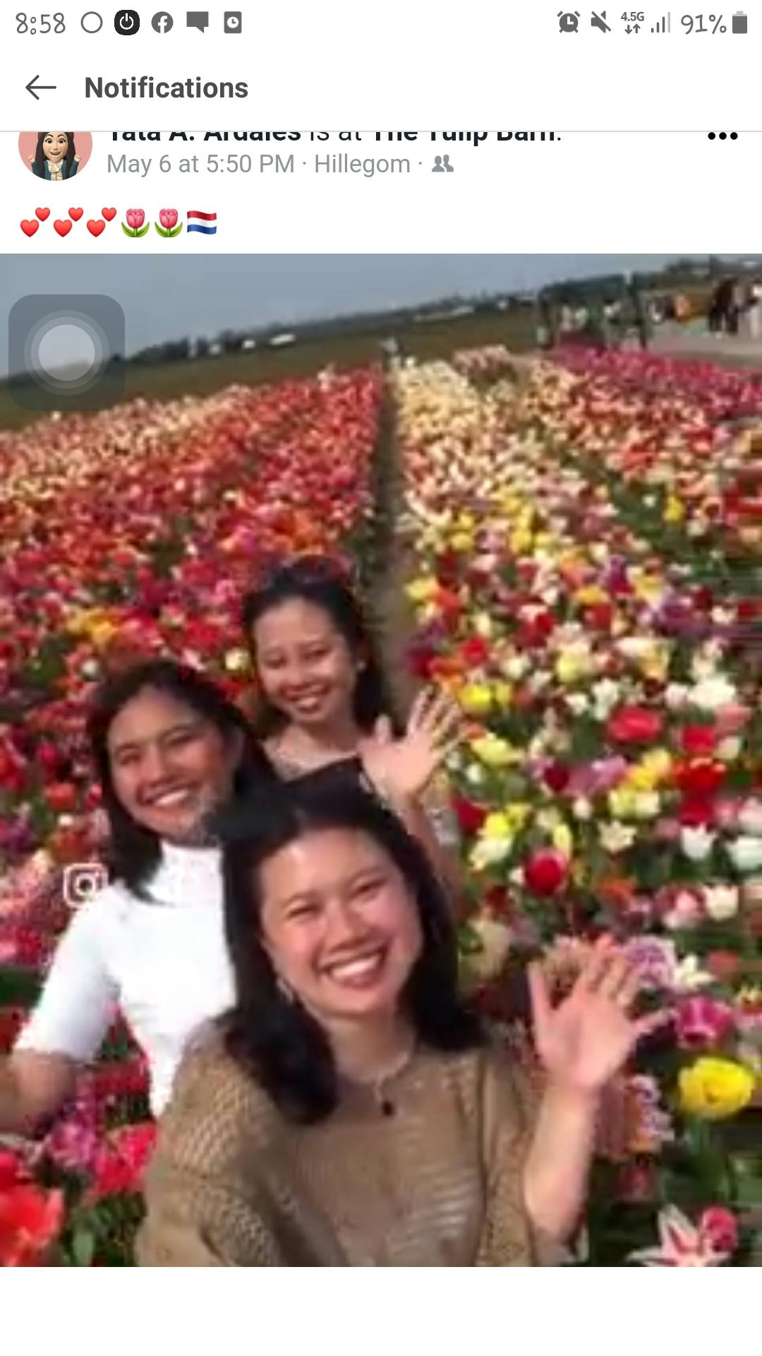 The Tulip Barn Tickets Hillegom