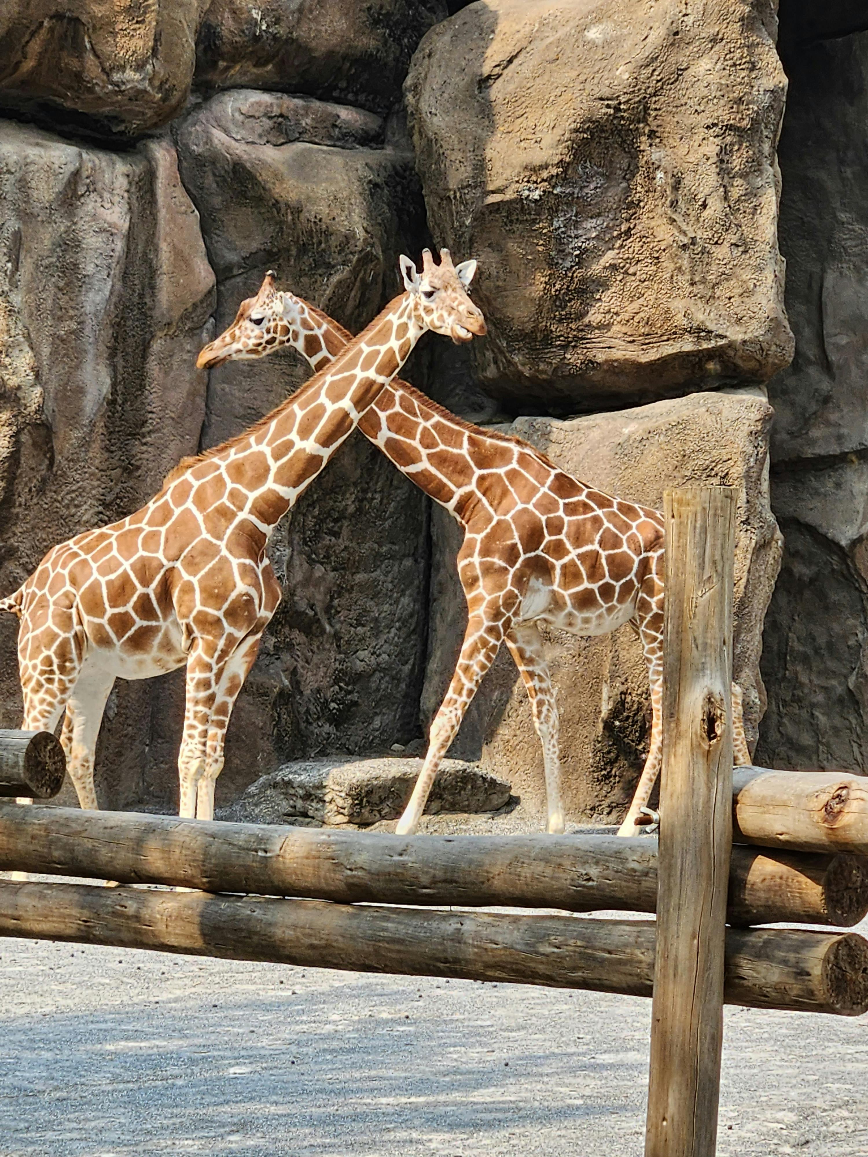 Philadelphia Zoo tickets Philadelphia