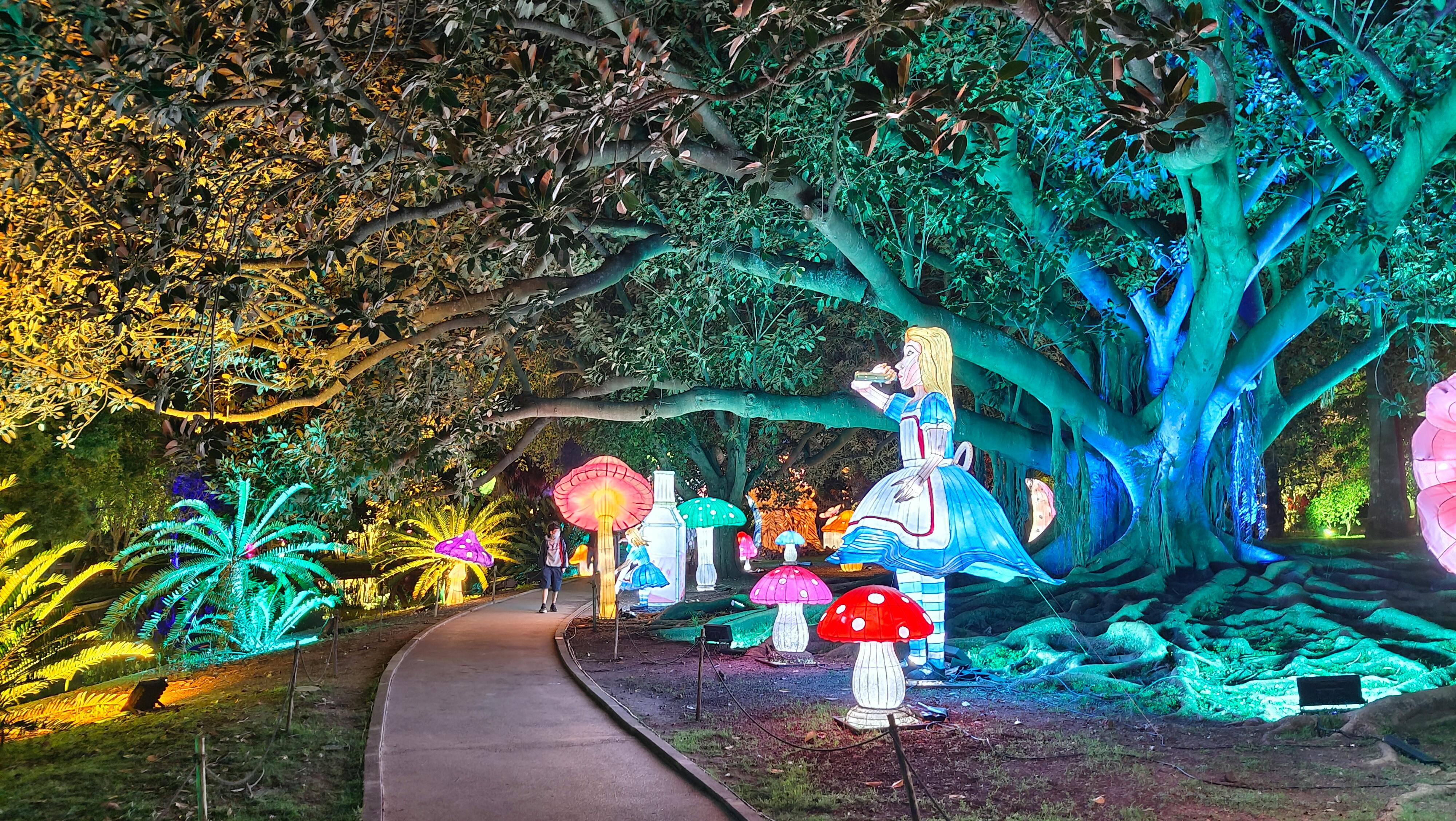 Exhibition Alice In Magical Garden Magical Garden Alice Tiqets Com
