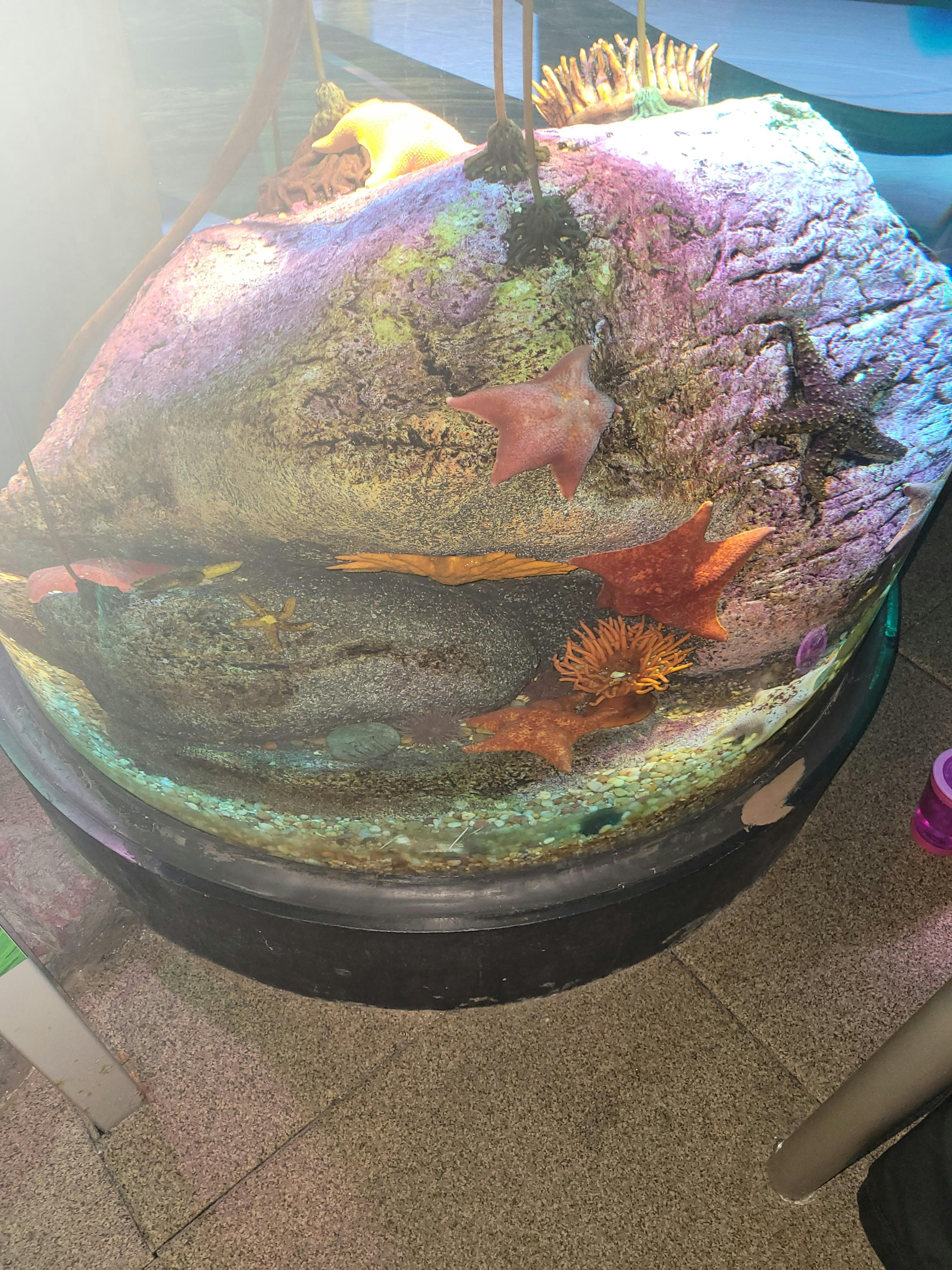 New York Aquarium Tickets Tiqets