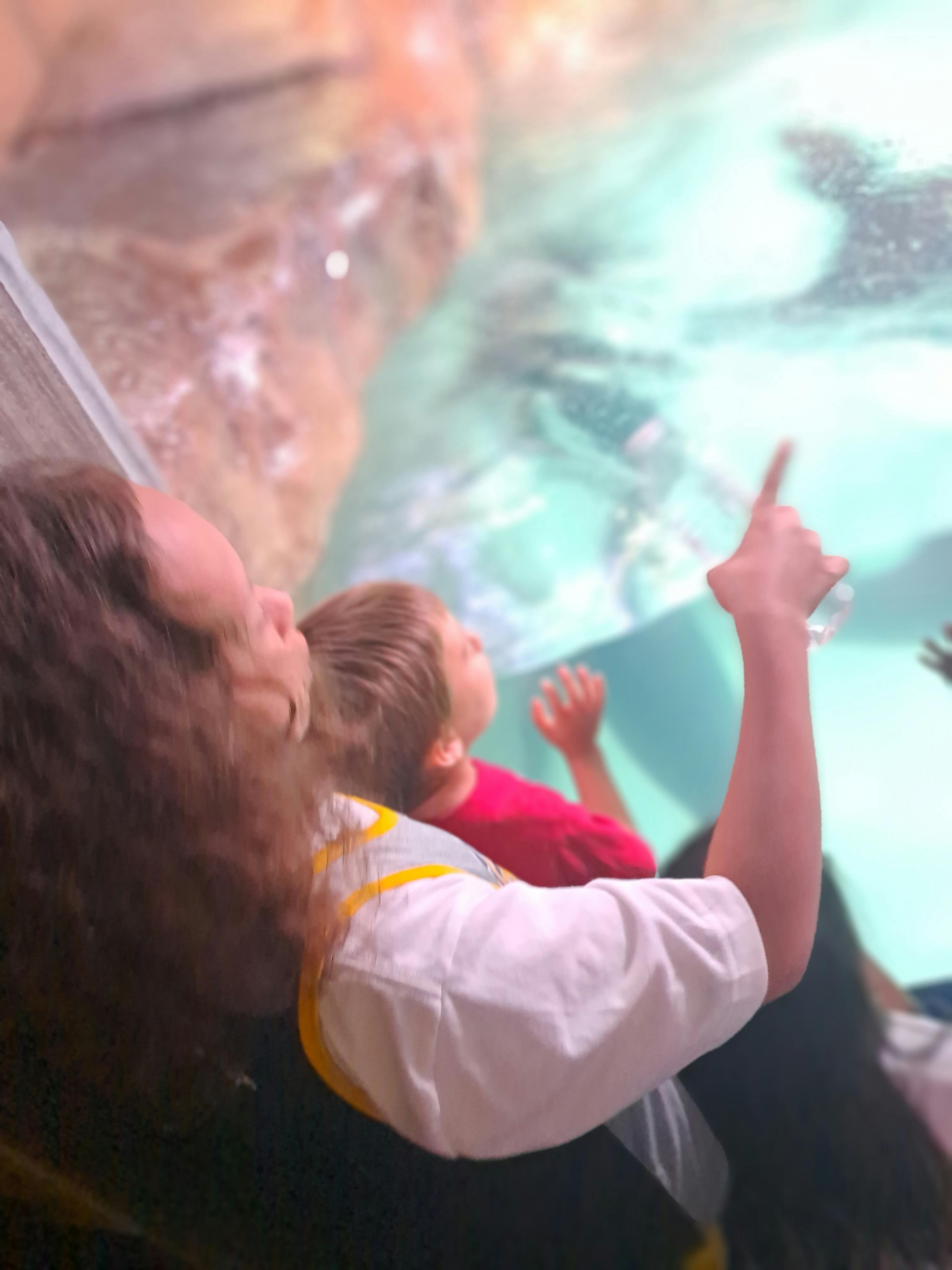 Aquarium Tickets Atlanta