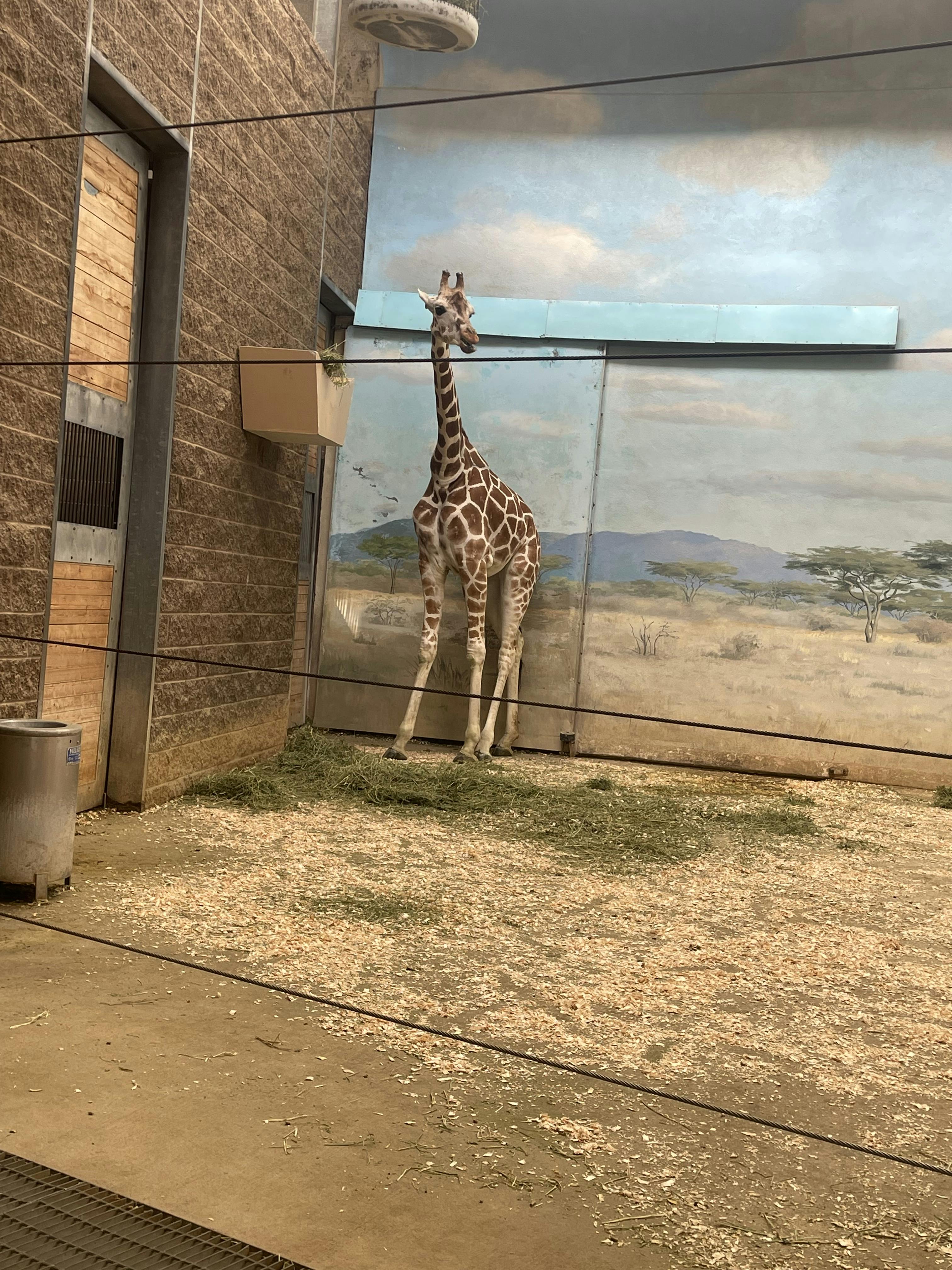 Bronx Zoo Tickets New York