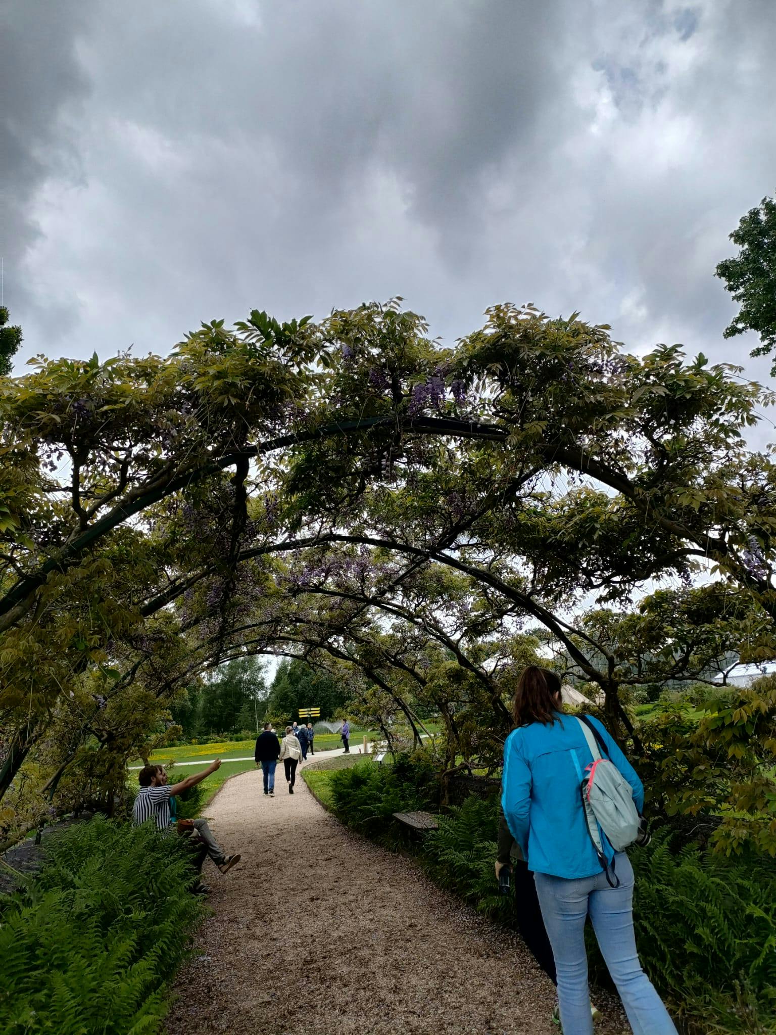 Utrecht University Botanic Gardens | Tiqets