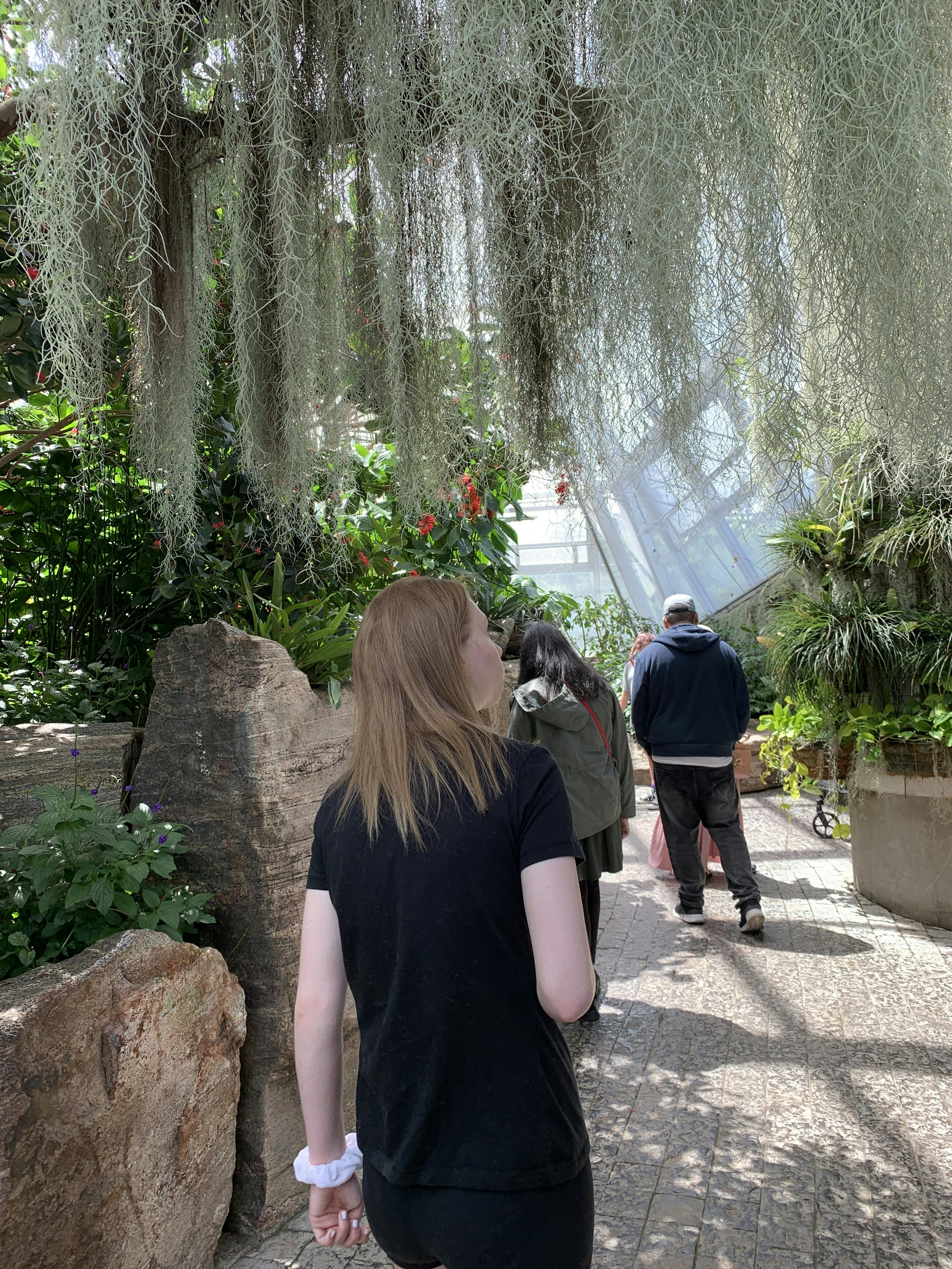 Niagara Falls Butterfly Conservatory Tickets Tiqets