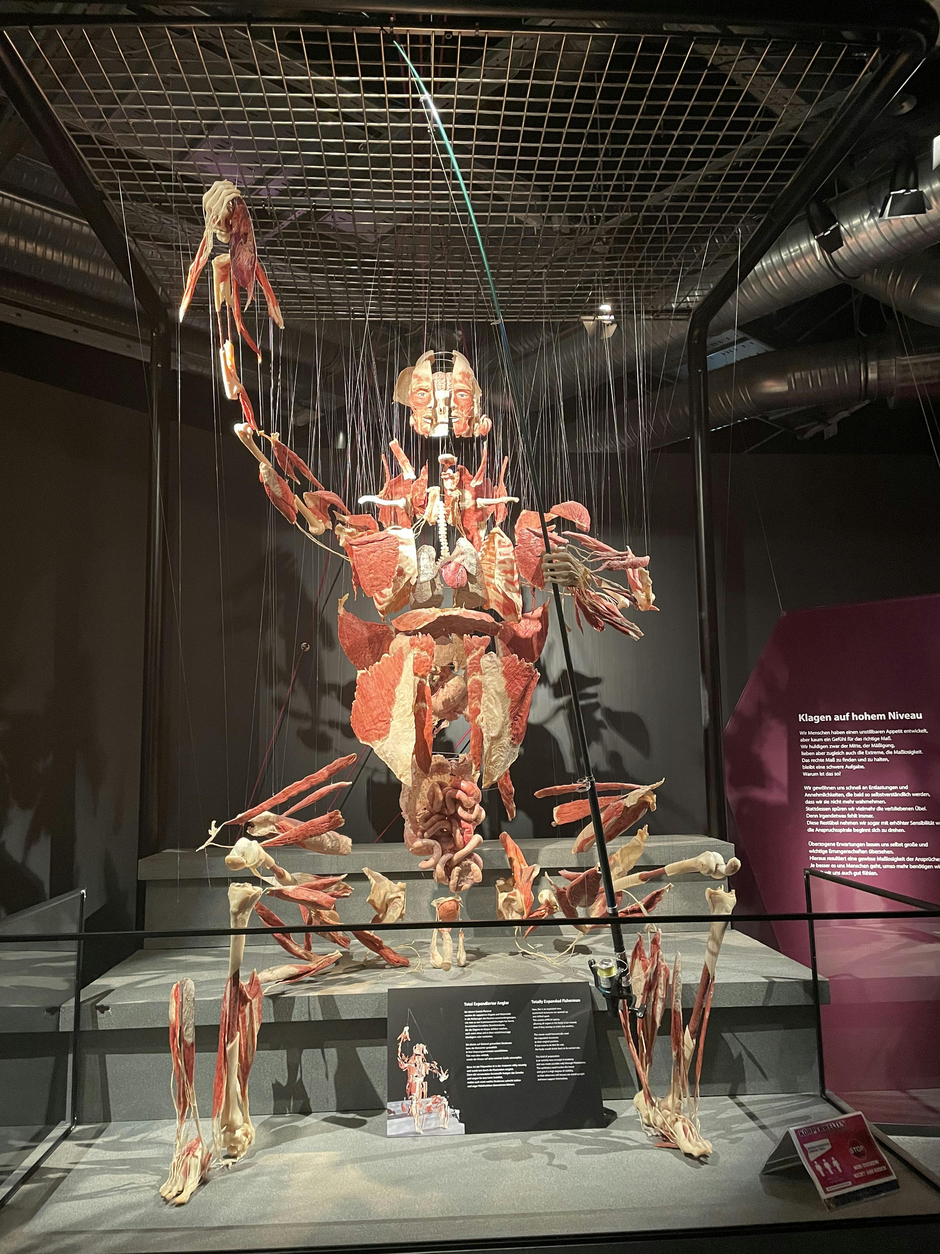 BODY WORLDS Berlijn Tickets Tiqets