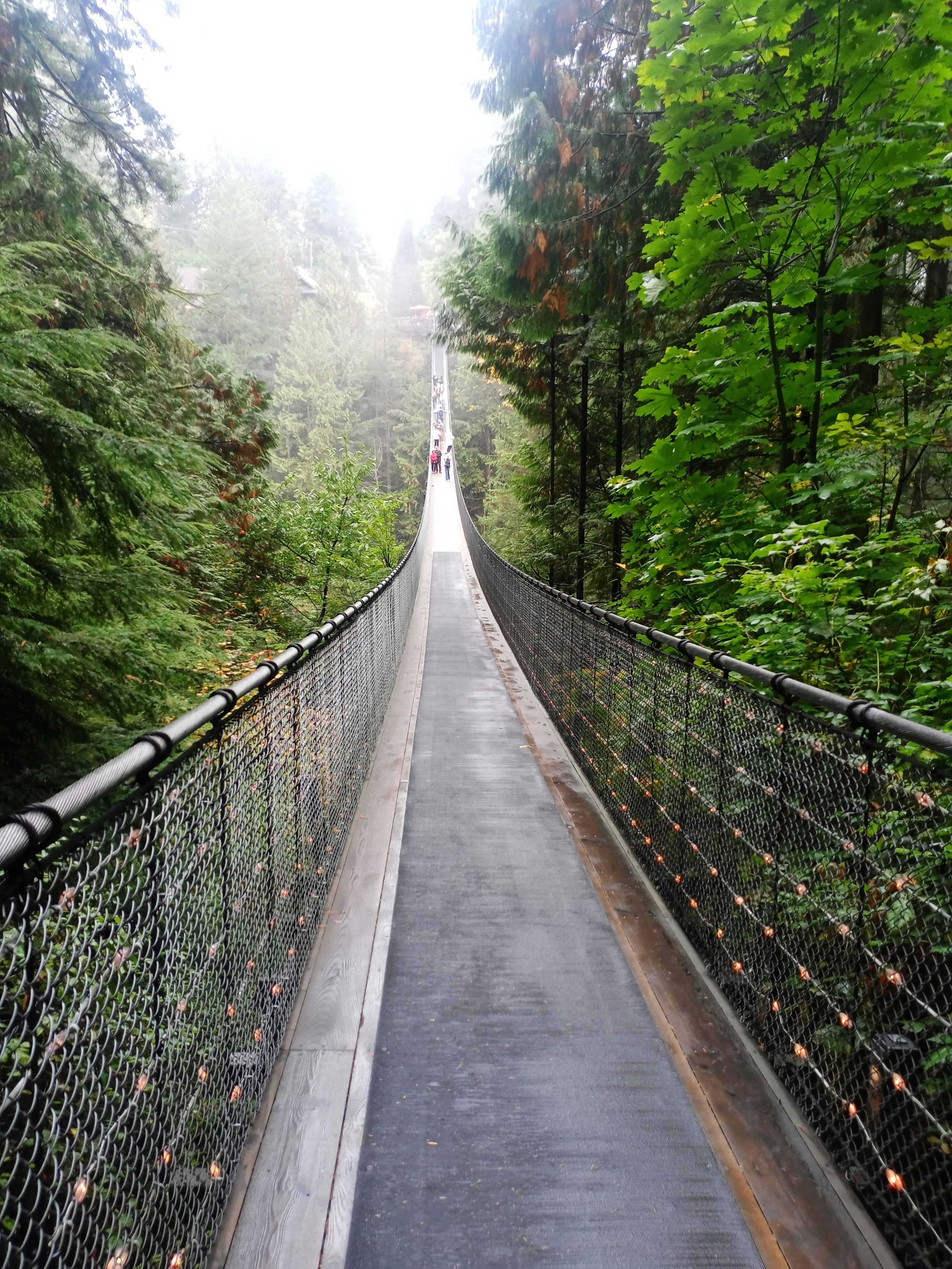 Tickets for Capilano Suspension Bridge Park Tiqets