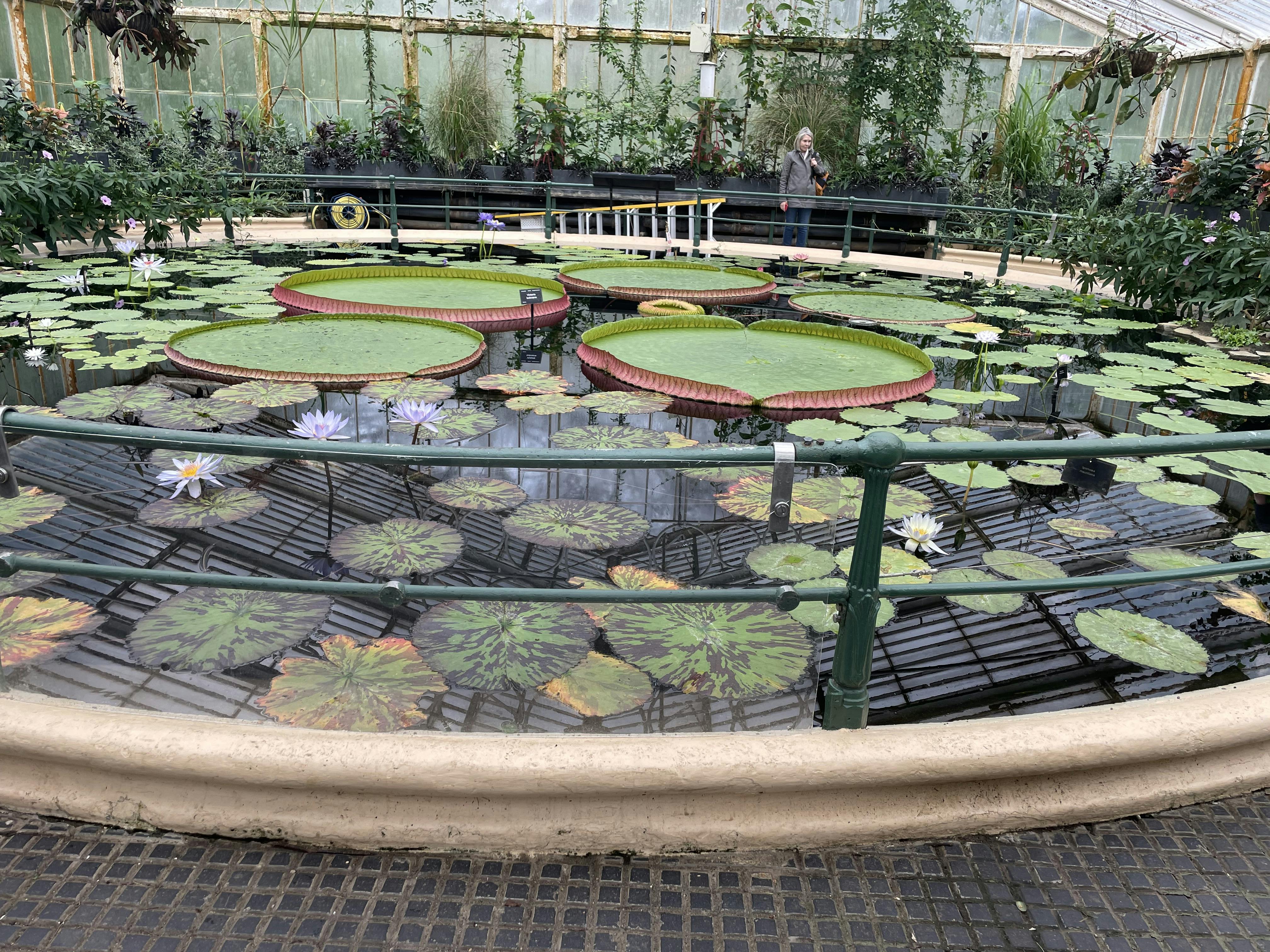 Kew Gardens Tickets London